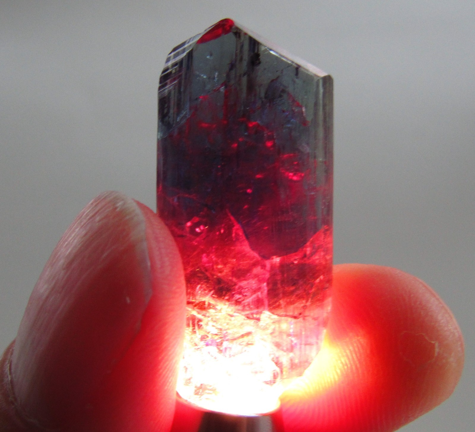 MESMERIZING AMAZING UNHEATED GEM TANZANITE CRYSTAL!!! TANZANIA