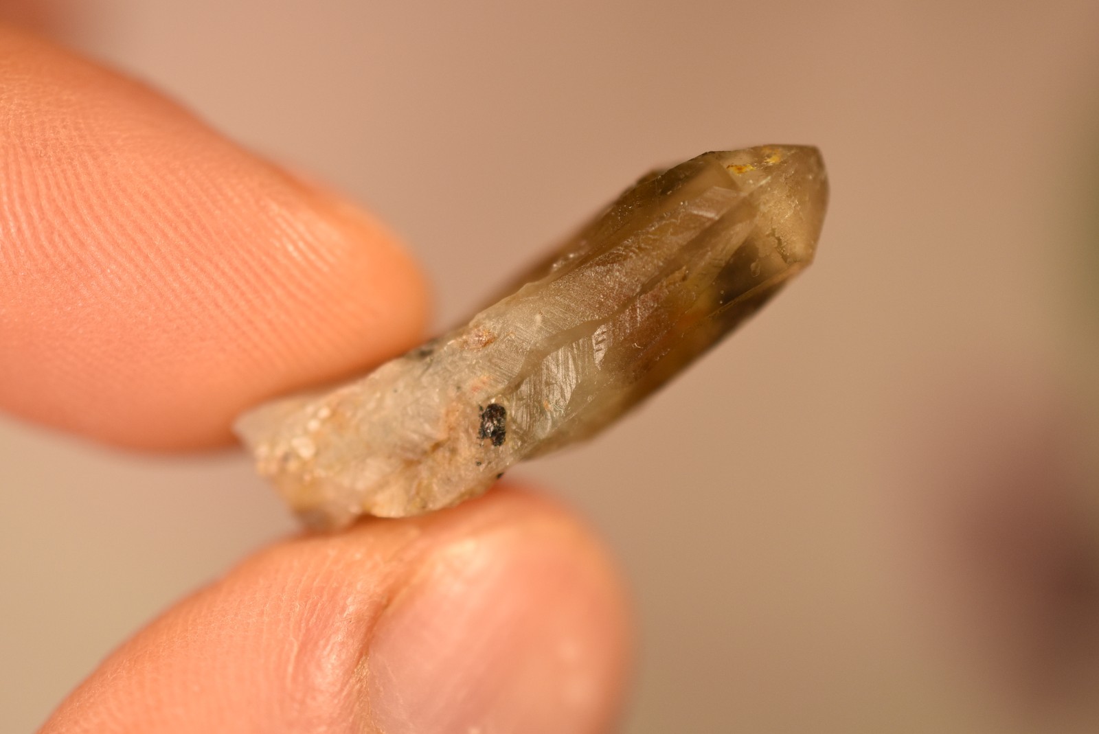 *AUSTRALIAN* CITRINE Crystal 2.9cm 4.7g Cluster Cassiterite Inclusion NSW