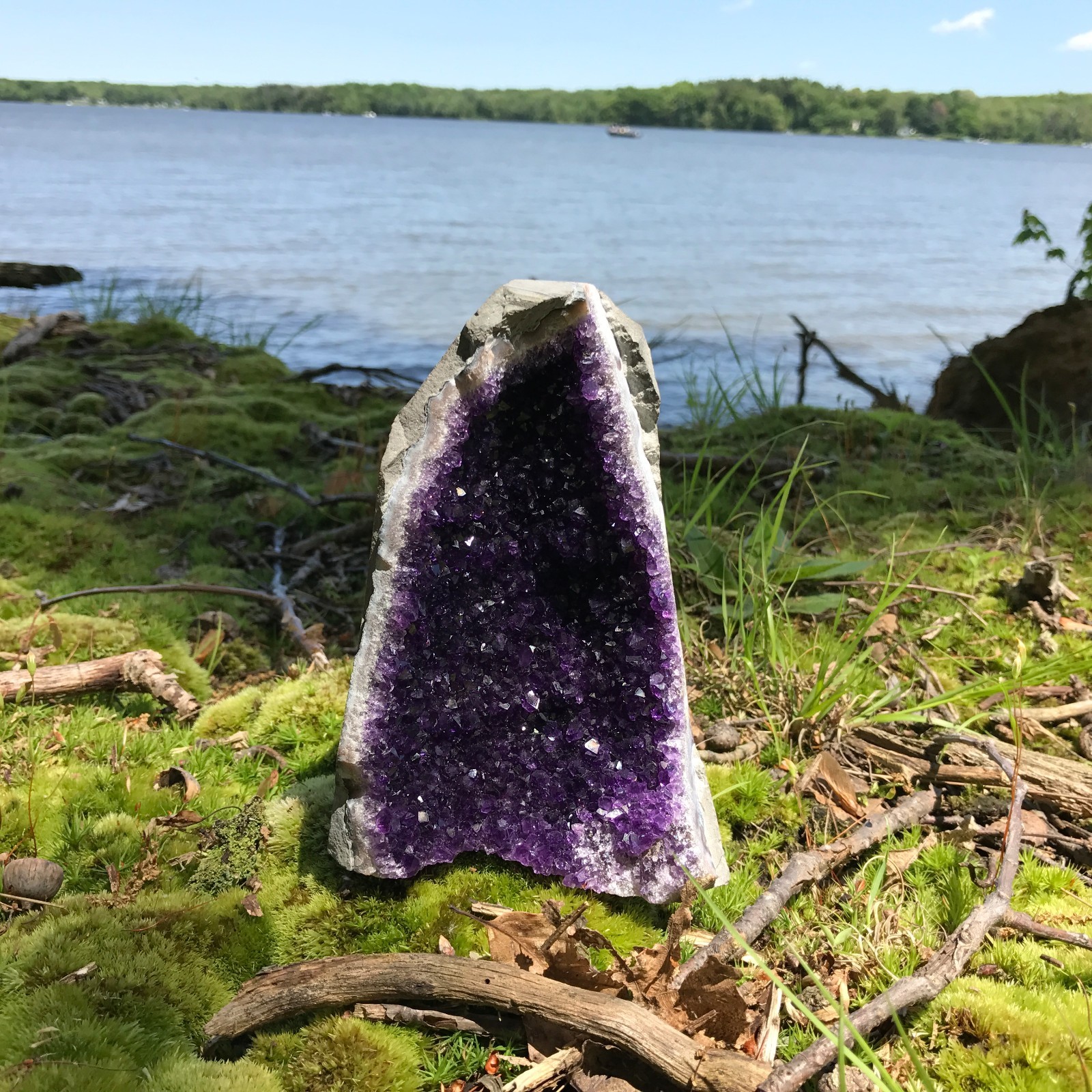 Amethyst Druze Crystal Cluster With Cut Base ~ EXTRA LARGE Size Specimen ~ 2 Lbs