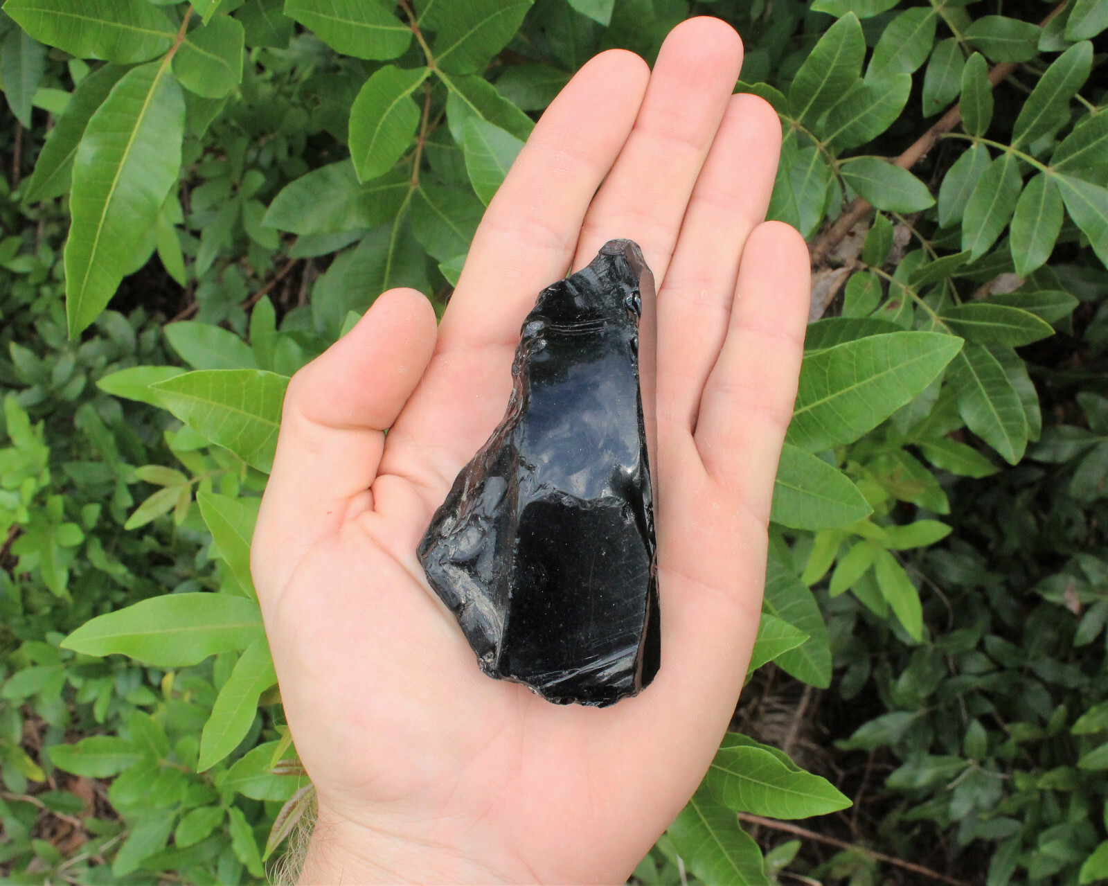 LARGE Black Obsidian Rough Natural (2.5 – 4″) – Raw Obsidian Crystal Bulk lots