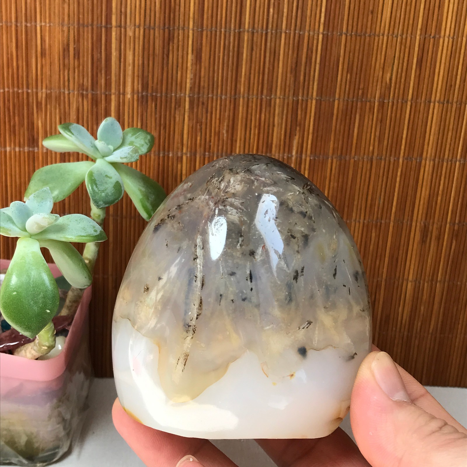 77-74-50mm Natural aquatic plants agate pretty Crystal specimens 433g A1877