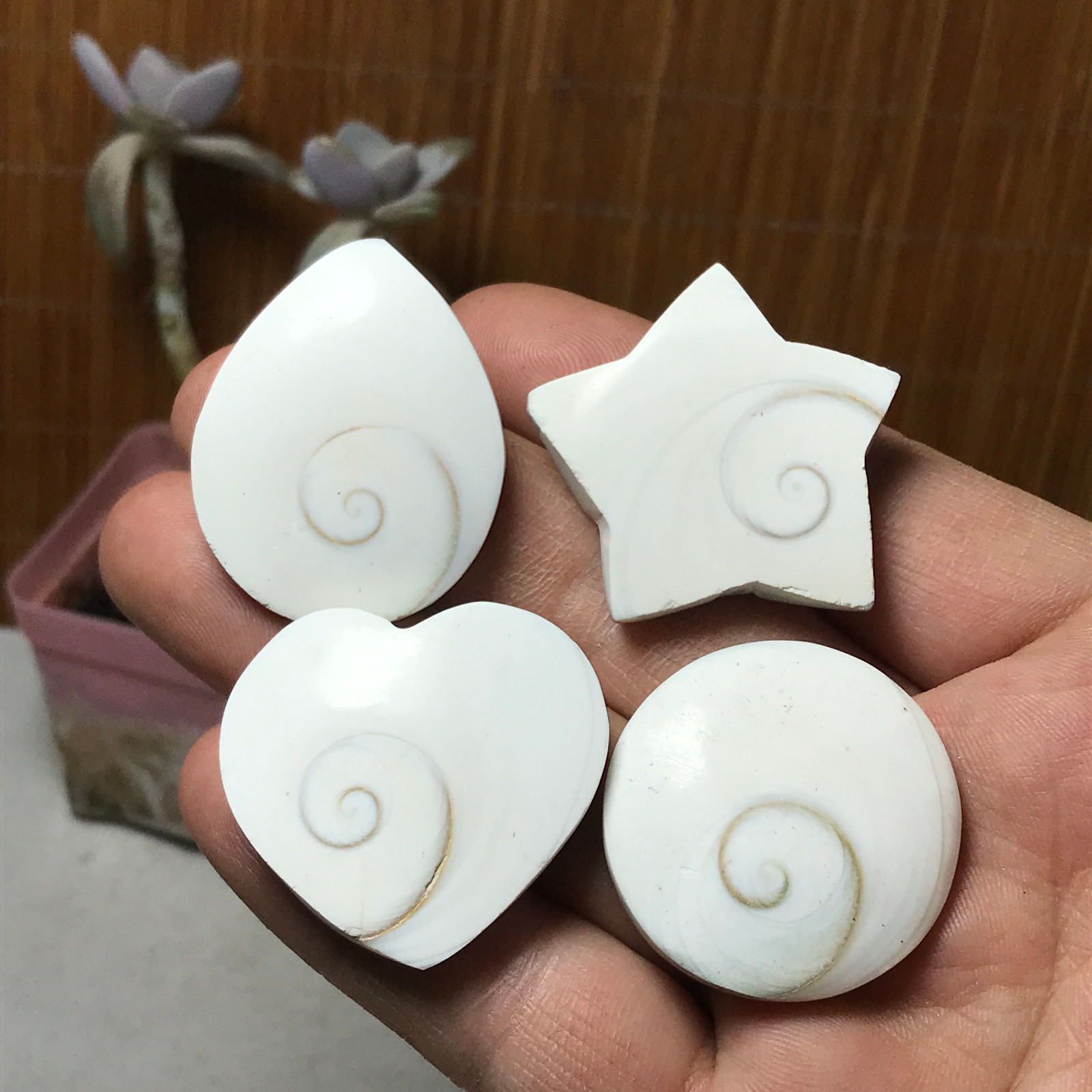 4Pcs Natural sun shell star Heart Reiki Shiva Eye ocean quartz carve A3331