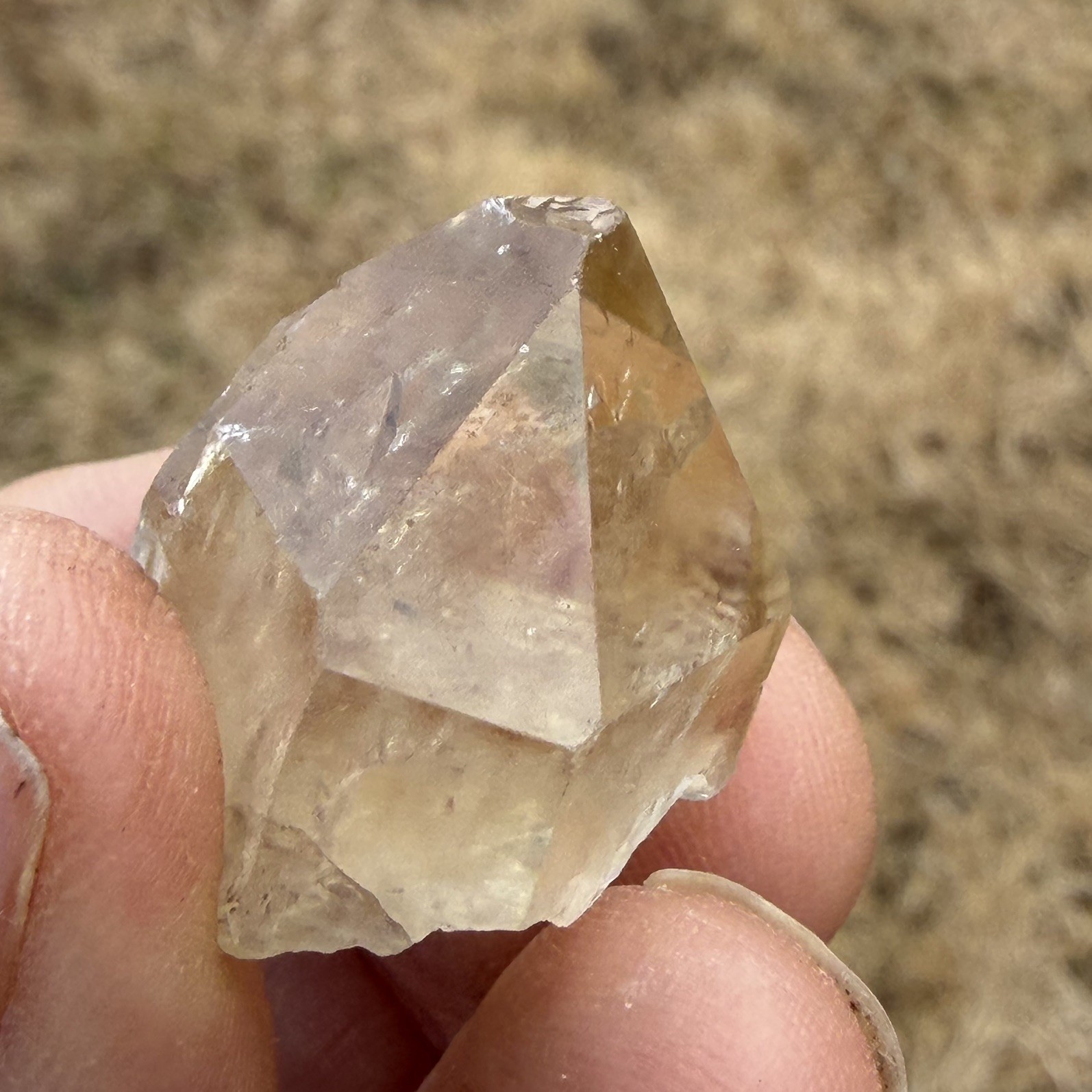 Natural Citrine Point 14.25 grams Approx ex Congo read Desc