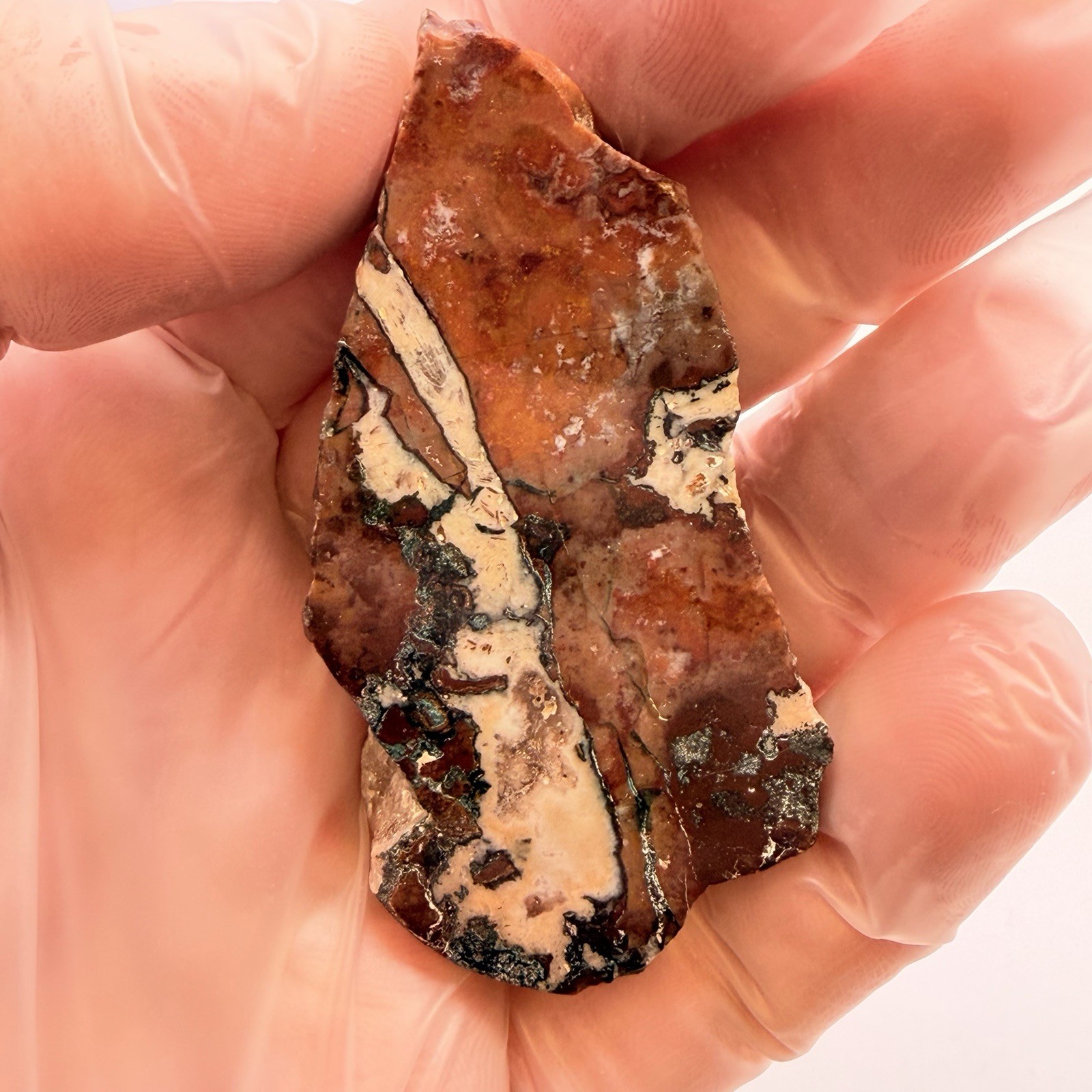 Moroccan Jasper Agate Specimen 3 in Polished Brecciated Jasper Slab 1.25 oz