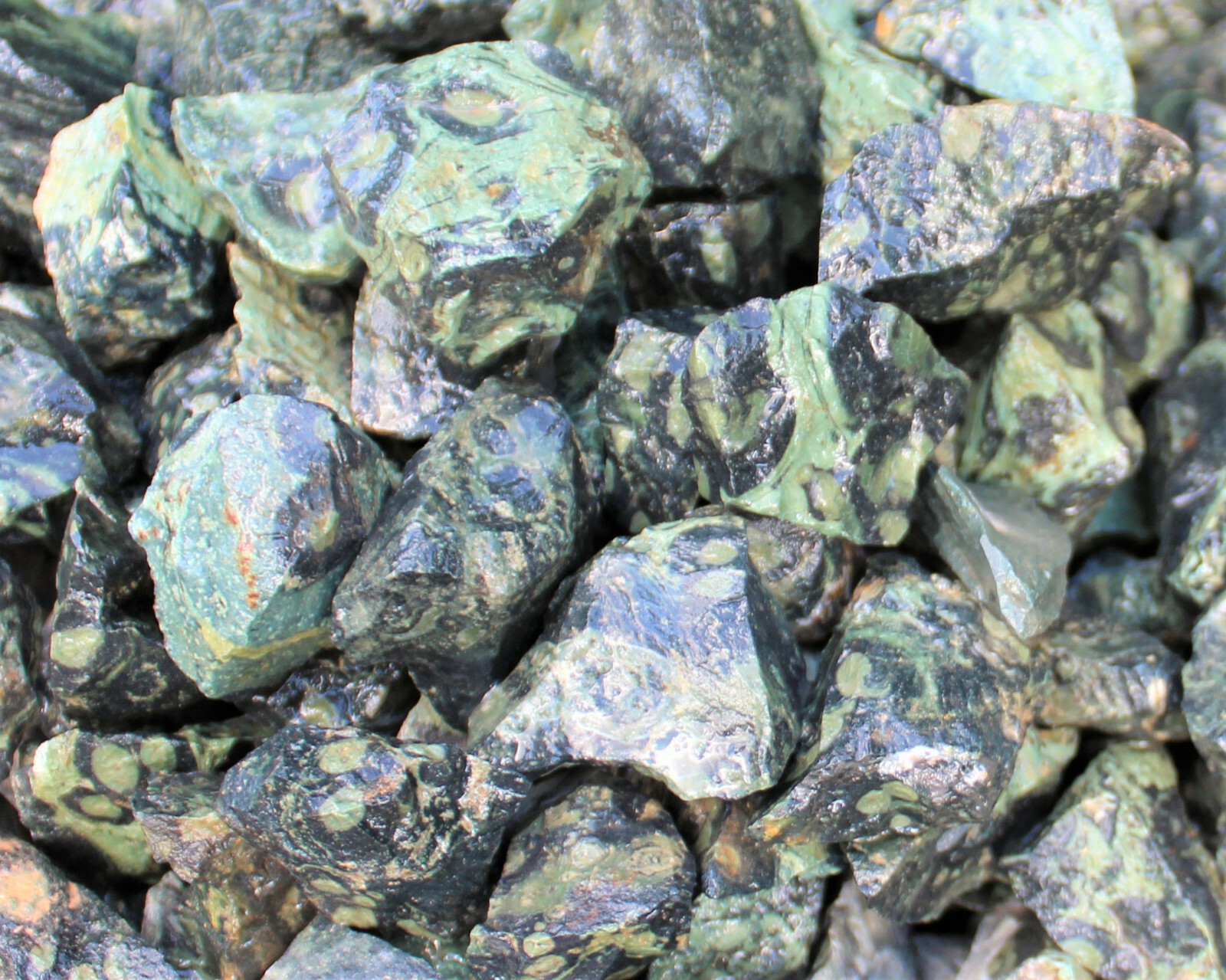 Kambaba Jasper Rough Natural Stones Bulk Wholesale Lots (Raw Crocodile Jasper)