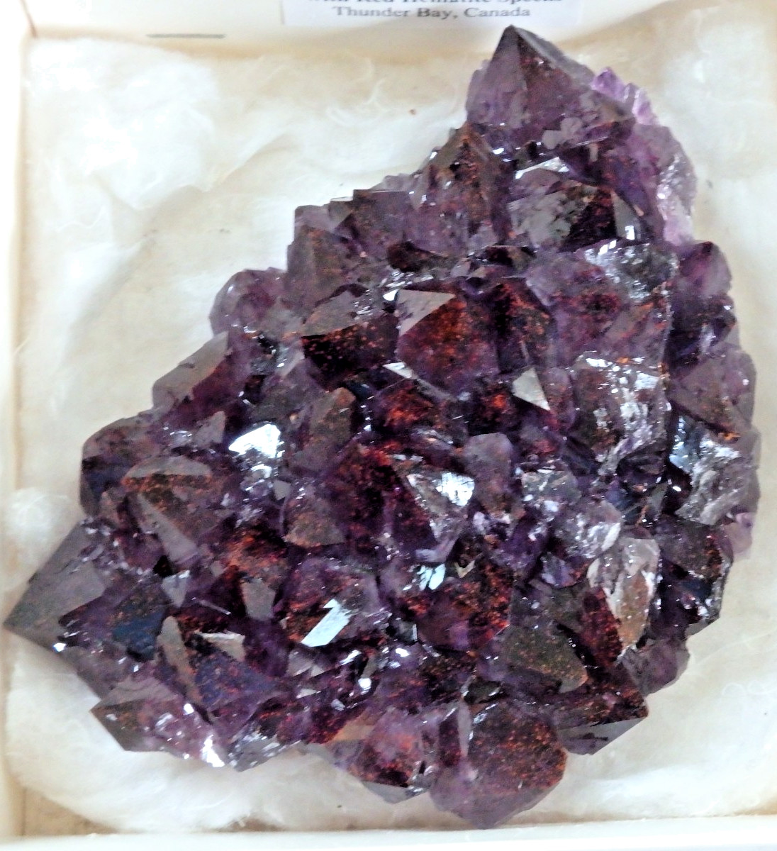 Crystal Amethyst on Calcite with Red Hematite Thunder Bay, Canada 1lb 1 oz.
