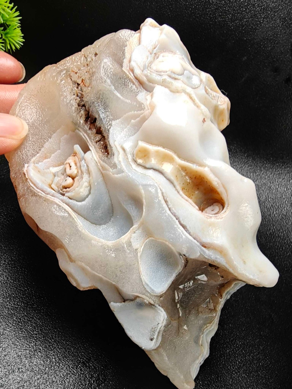 Rare China Inner Mongolia Gobi Eye Agate Stone Specimen 100% Natural Designer