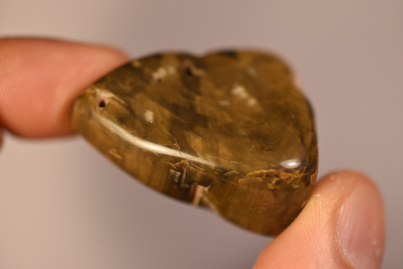 2 *AUSTRALIAN PETRIFIED WOOD* Tumbled Stones 4cm 58.2g Natural Stone QLD