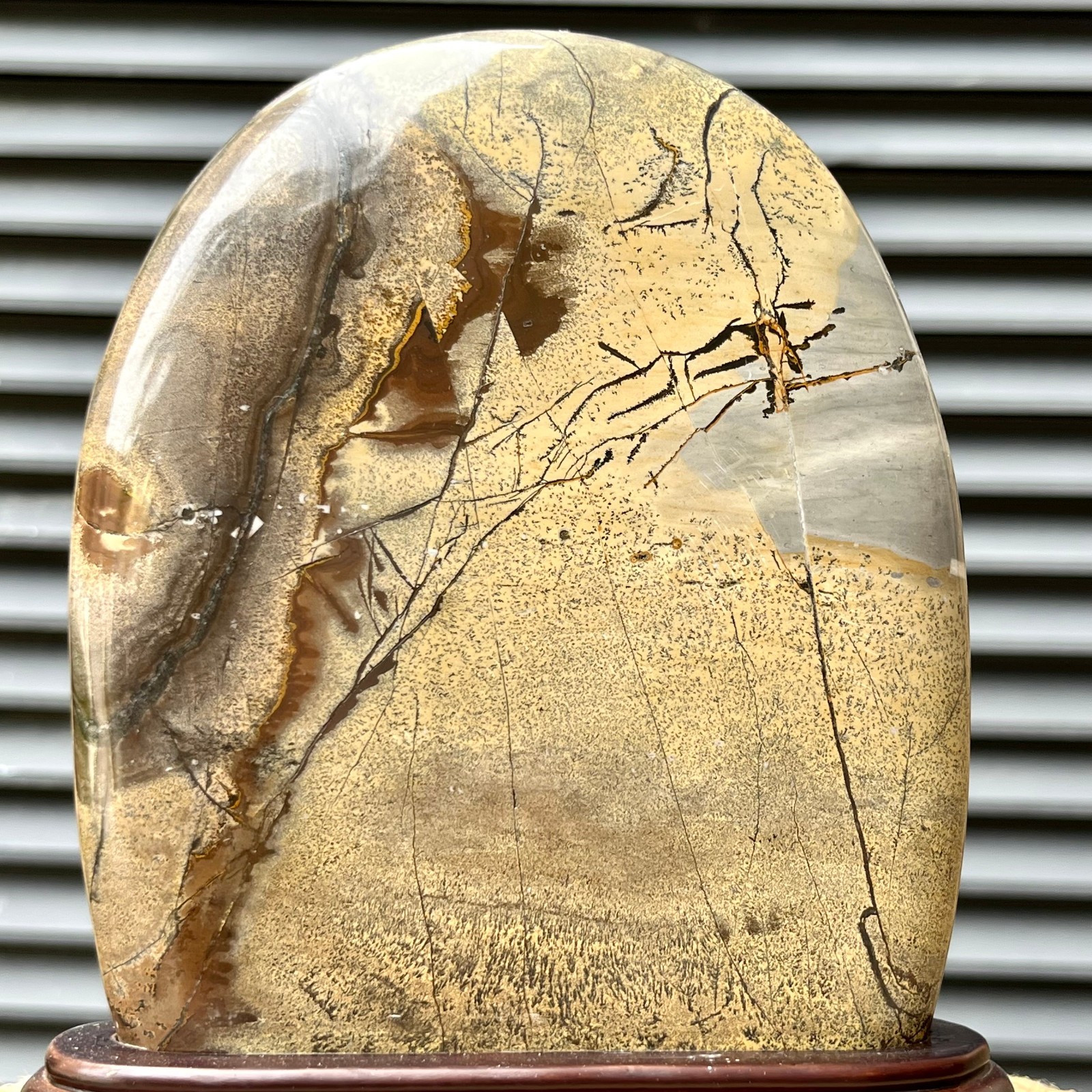 823 g Natural Pattern Stone Scenic Polished Display Art w/ Base