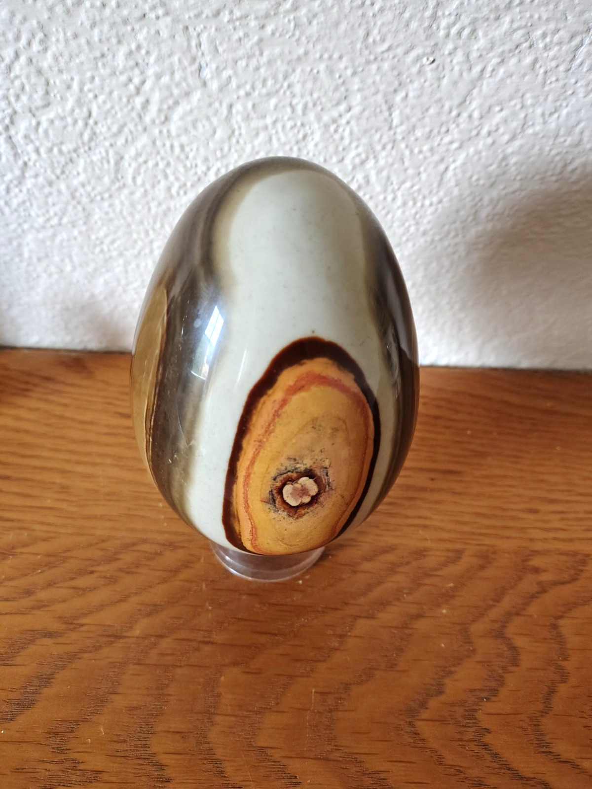 Large Polychrome Ocean Jasper Egg Sedimented Polished 11cm / 780g Madagascar
