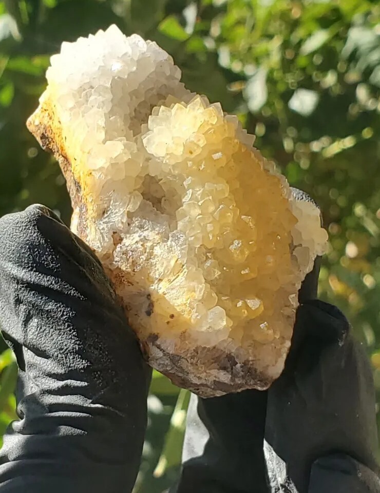 Natural Golden Healer Cluster Specimen 70g