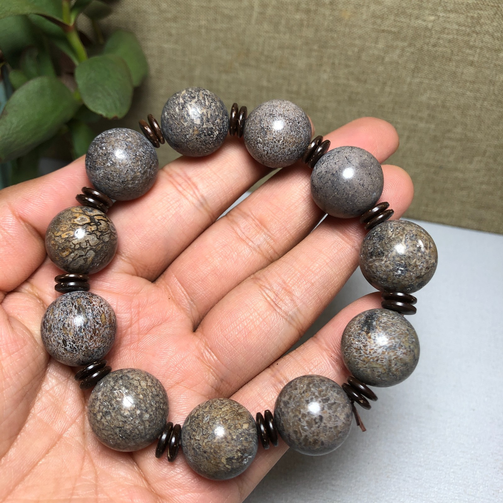 Top! Natural polished dinosaur bone bracelets specimen Madagascar 17-18mm A1003