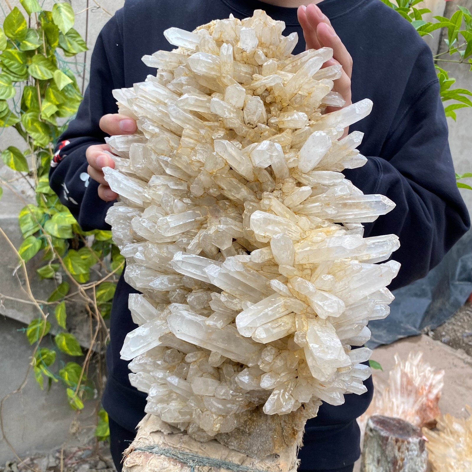 43.9lb Natural Clear White quart Crystal Cluster Raw Healing Specimen