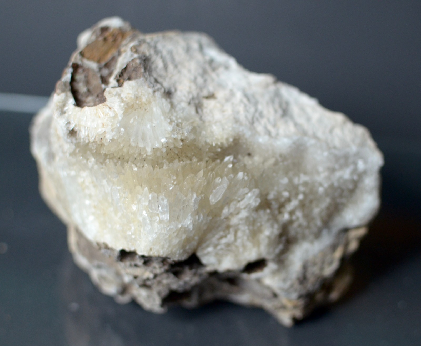 Fluorescent Aragonite Needle Spray in Fossil Matrix | Crystal River, Florida