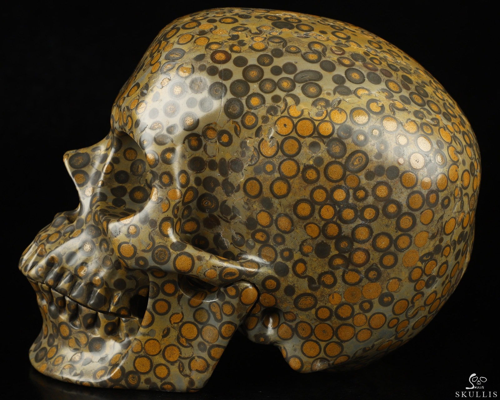 Lifesized 7.0″ Chinese Leopard Skin Jasper Hand Carved Crystal Skull, Realistic