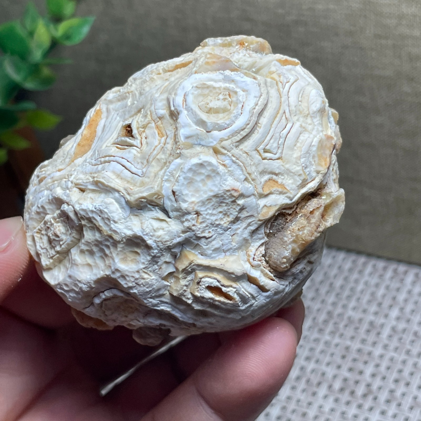 Beautiful ! GoBi agate eyes stone rough Crystal Stone Specimen Viewing 146g C55