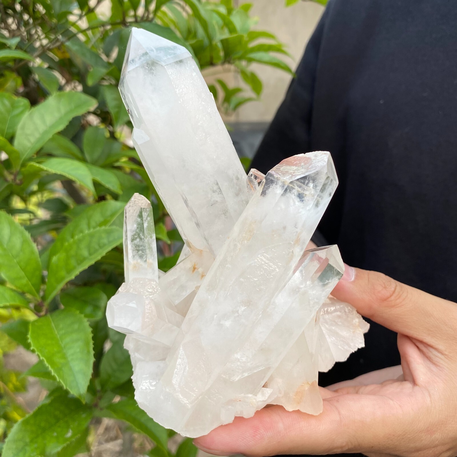 1.1lb Natural Clear White quart Crystal Cluster Raw Healing Specimen