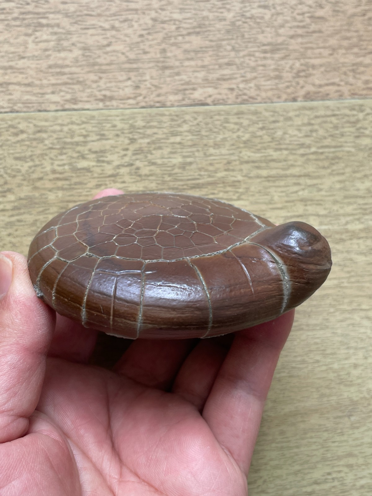 412g beautiful Natural tortoise back pattern stone Moire stone Landscape stone
