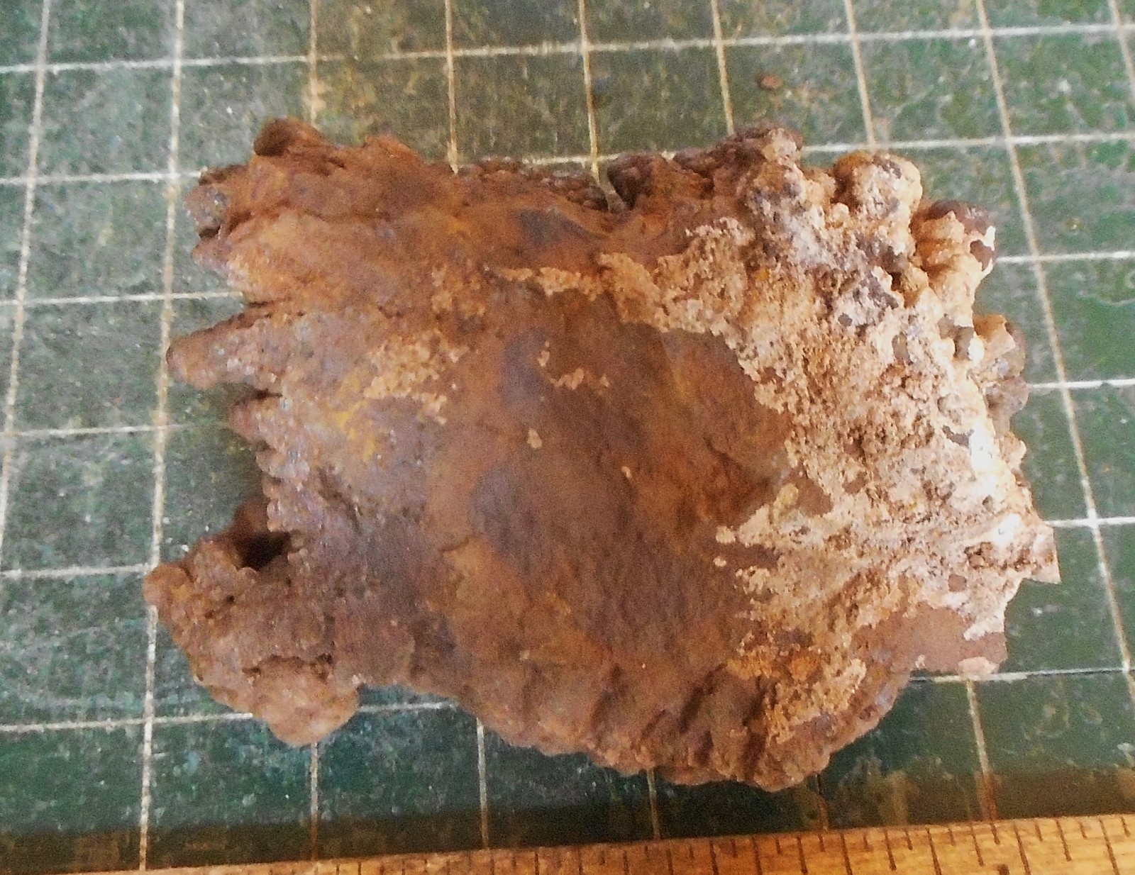 Brown Bubbly Goethite Crystal Plate . Natural Specimen . 2.5″