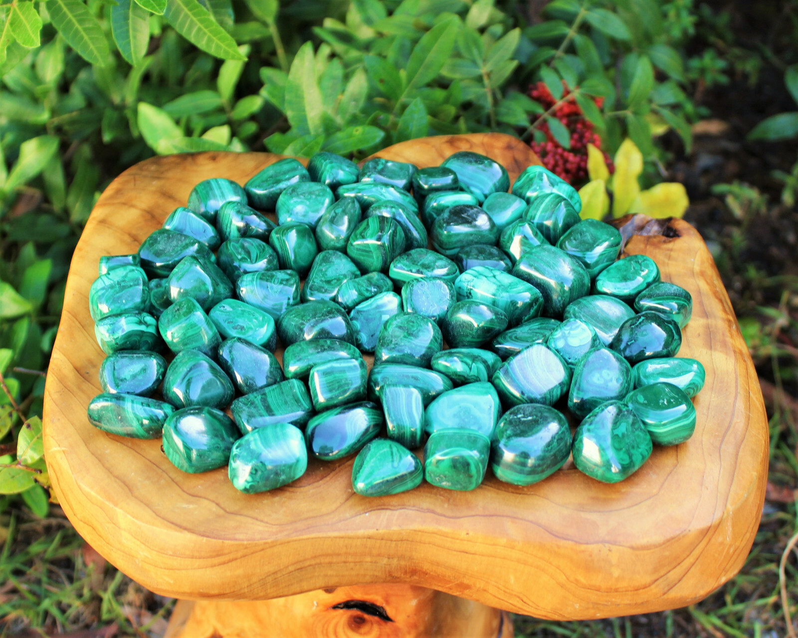 Bulk 1/2 lb Malachite Tumbled Stone: Crystal Healing Gemstone (1/2 Pound, 8 oz)
