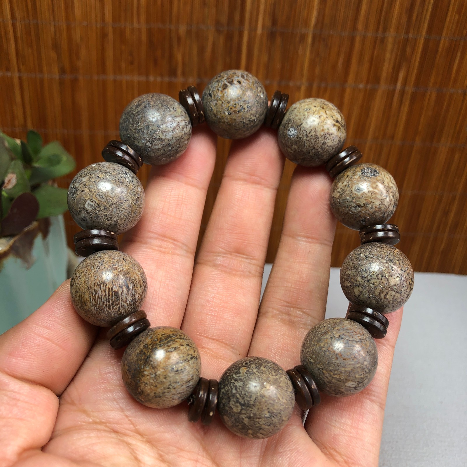 17+mm Natural dinosaur bone gemstone Crystal chain bracelet Specimen 87g A1077