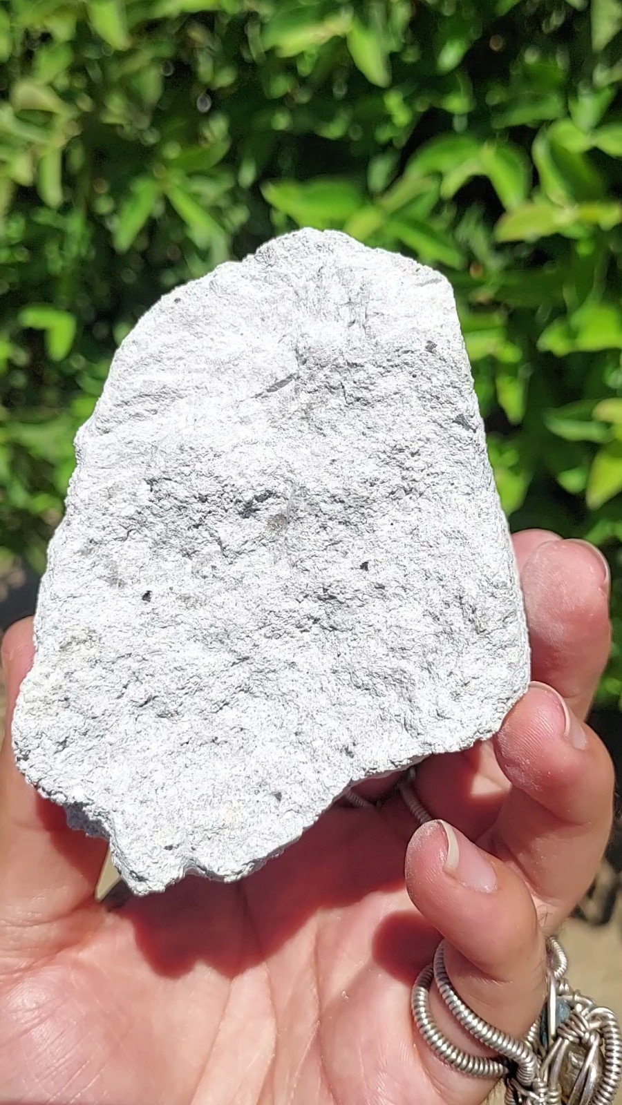 ULTRA GEM FACET GRADE SECTIONS LARGE RED BERYL / BIXBITE ON MATRIX UTAH, USA