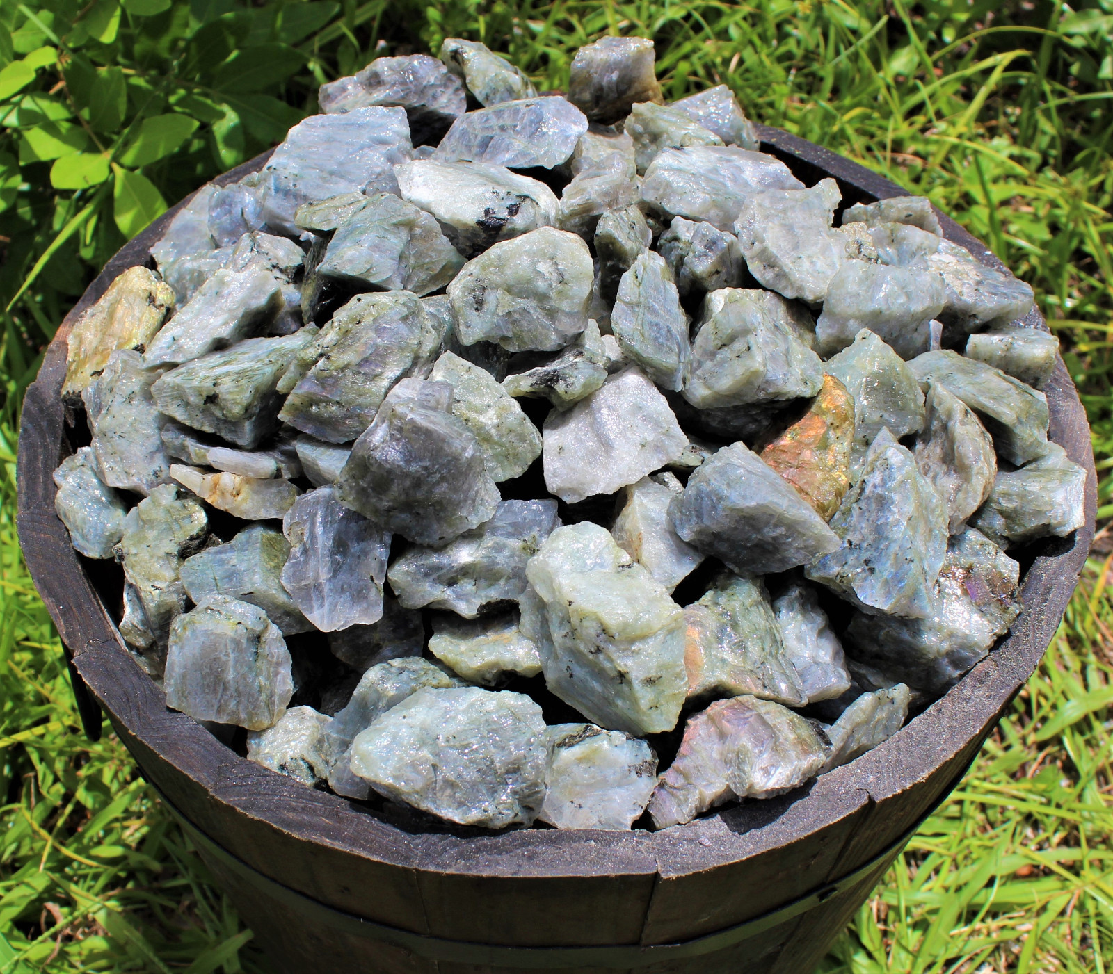1 Rough Labradorite Crystal (Raw Natural Gemstone Specimen)