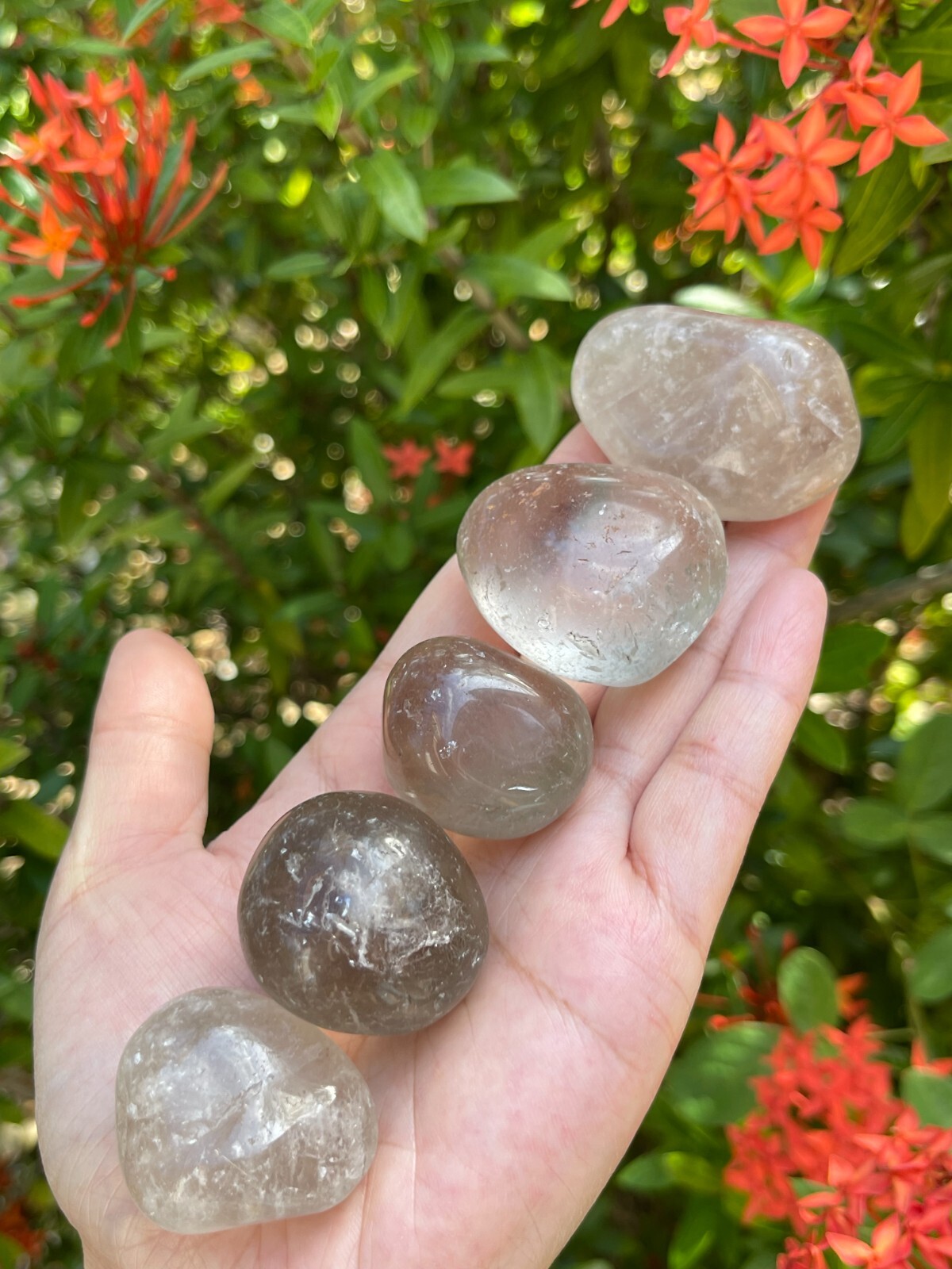 Smoky Quartz Pebble, 1-2 Inches Large Tumbled Smoky Quartz, Wholesale Bulk Lot