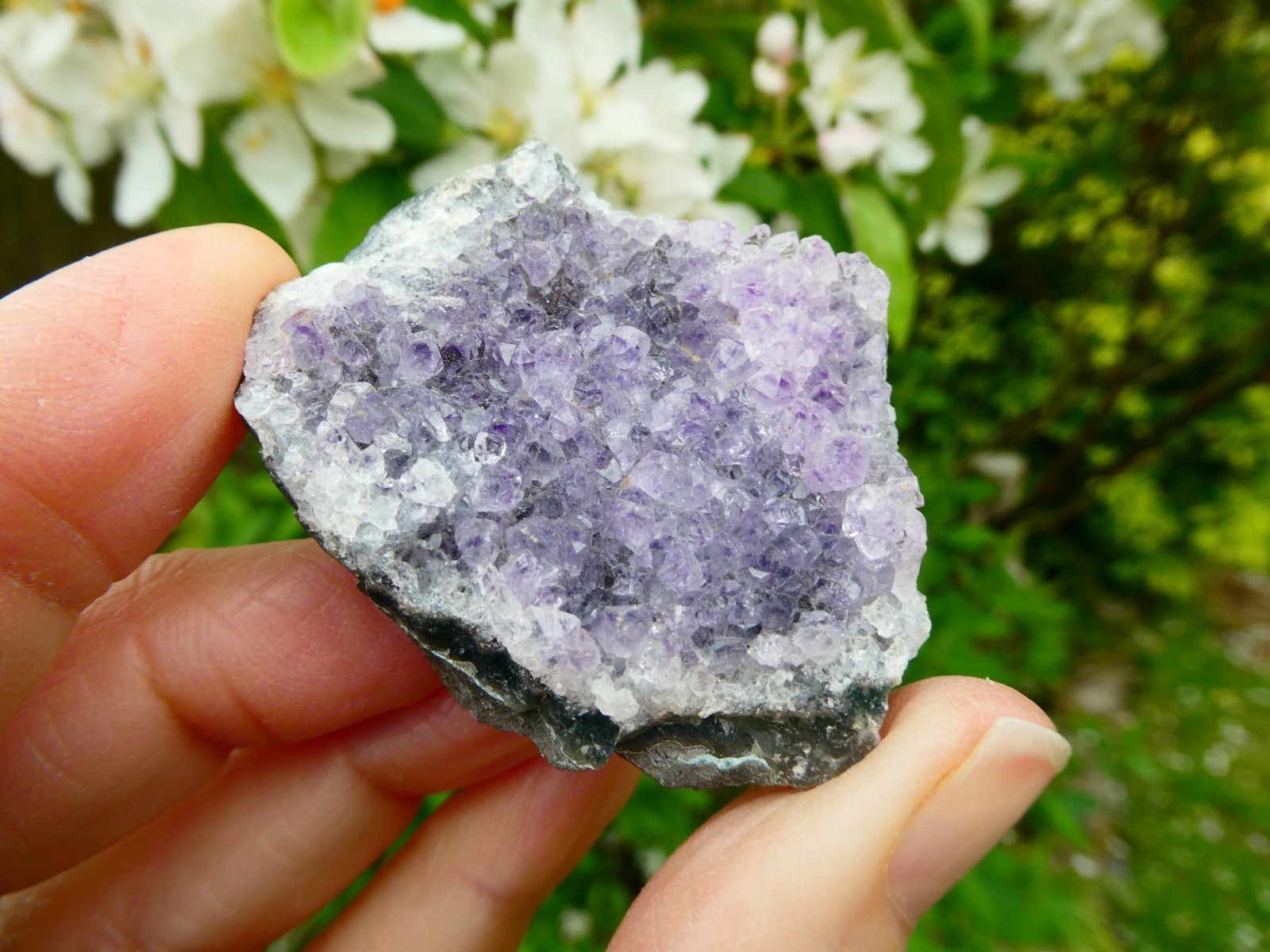 Aura Amethyst Crystal Cluster Multi Points Uruguay & Amethyst Cluster Bed Brazil