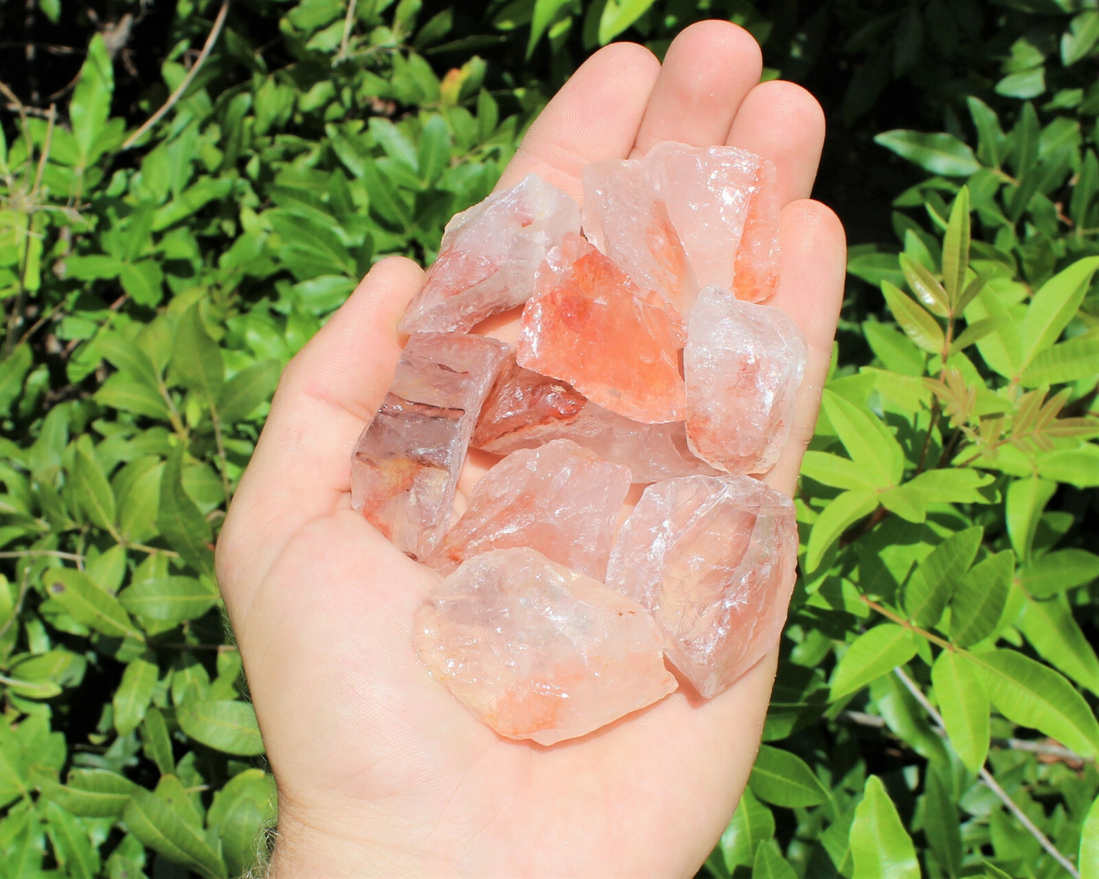 1/2 lb Bulk Lot Natural Rough Fire Quartz Crystal, Raw Hematoid Mineral (8 oz)