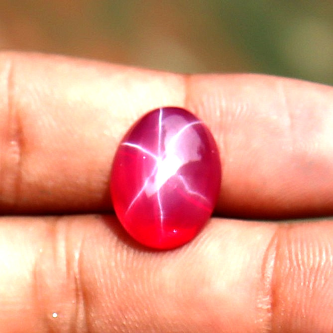 14-15 Ct 6 Rays Natural Red Star Ruby Oval Cabochon Certified Loose Gemstone