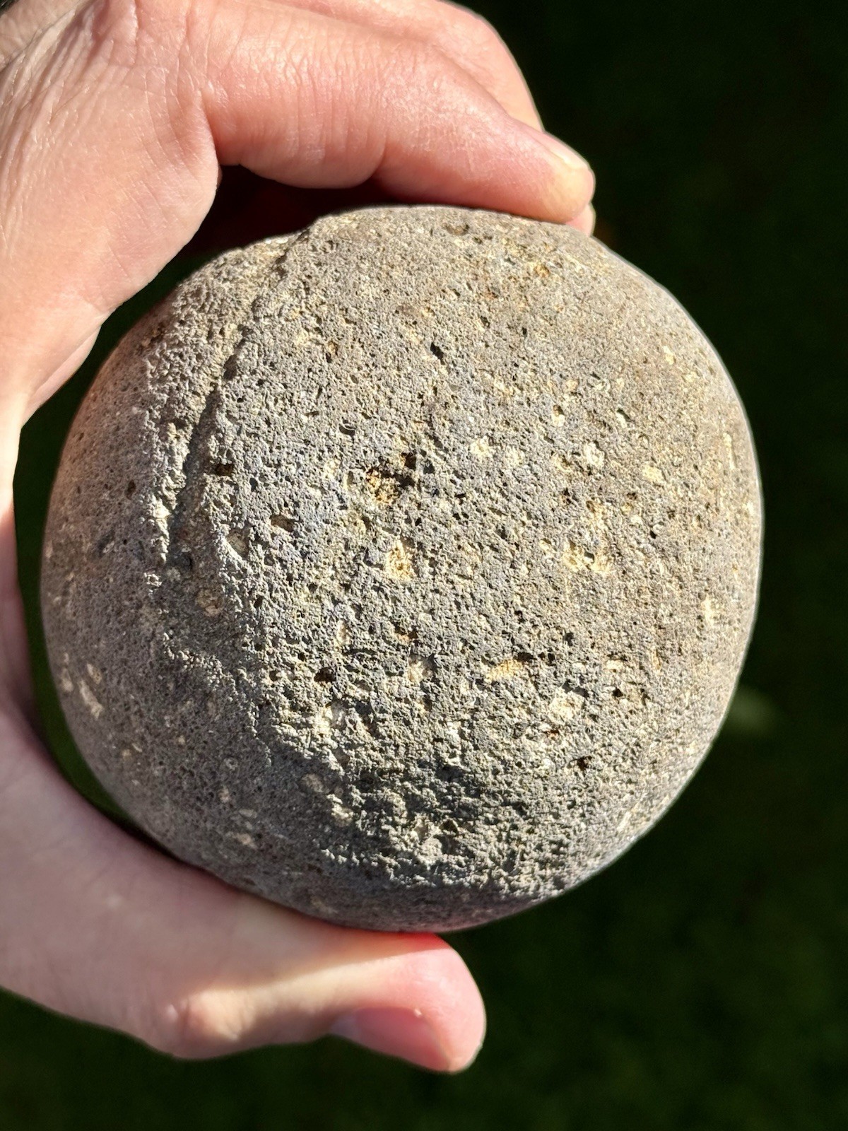 NATURAL SPHERICAL RHYOLITE OR SANDSTONE? CONGLOMERATE ROUND SPHERE STONE ROCK CA