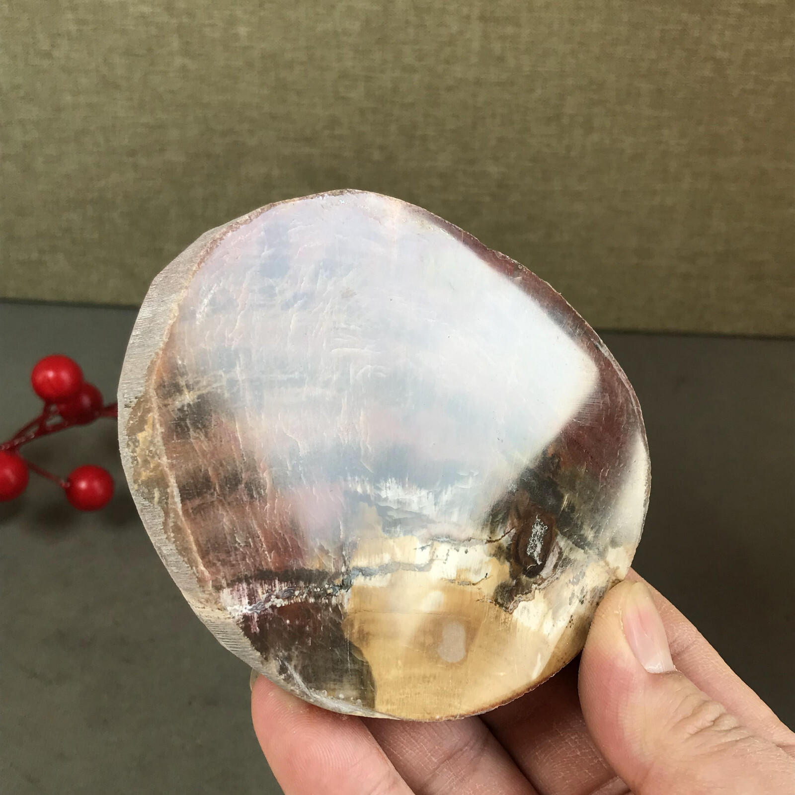 97mm natural Beautiful Petrified Wood Crystal Slice mineral specimen 247g A5426