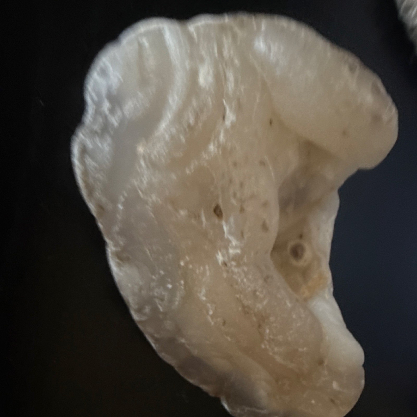 White Natural rose swirls rock Specimen, Approx. 2.5–3 Inches Collectible