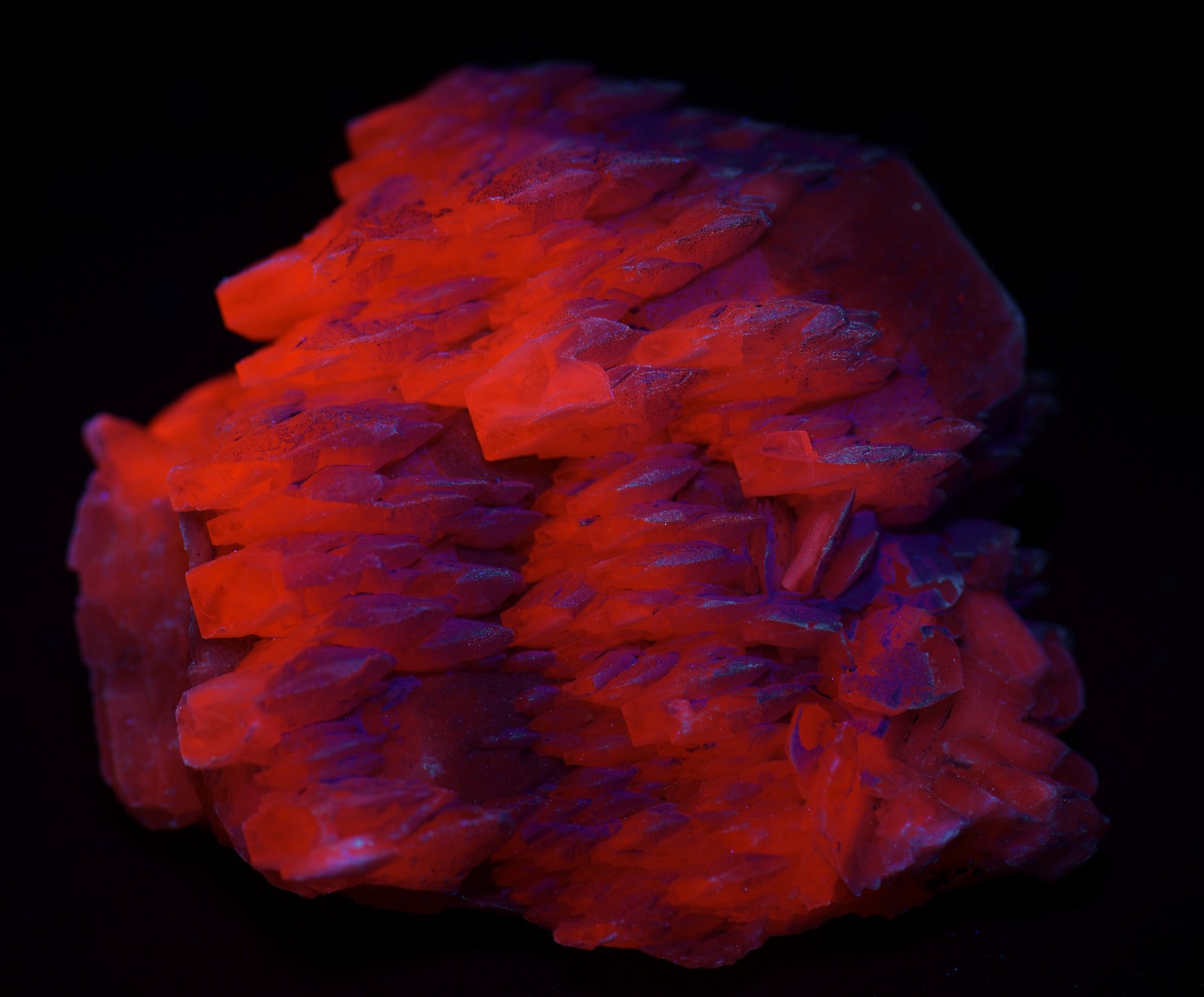 Poker-chip Calcite, excellent specimen, fluorescent. Charcas, Mexico. 217 grams.