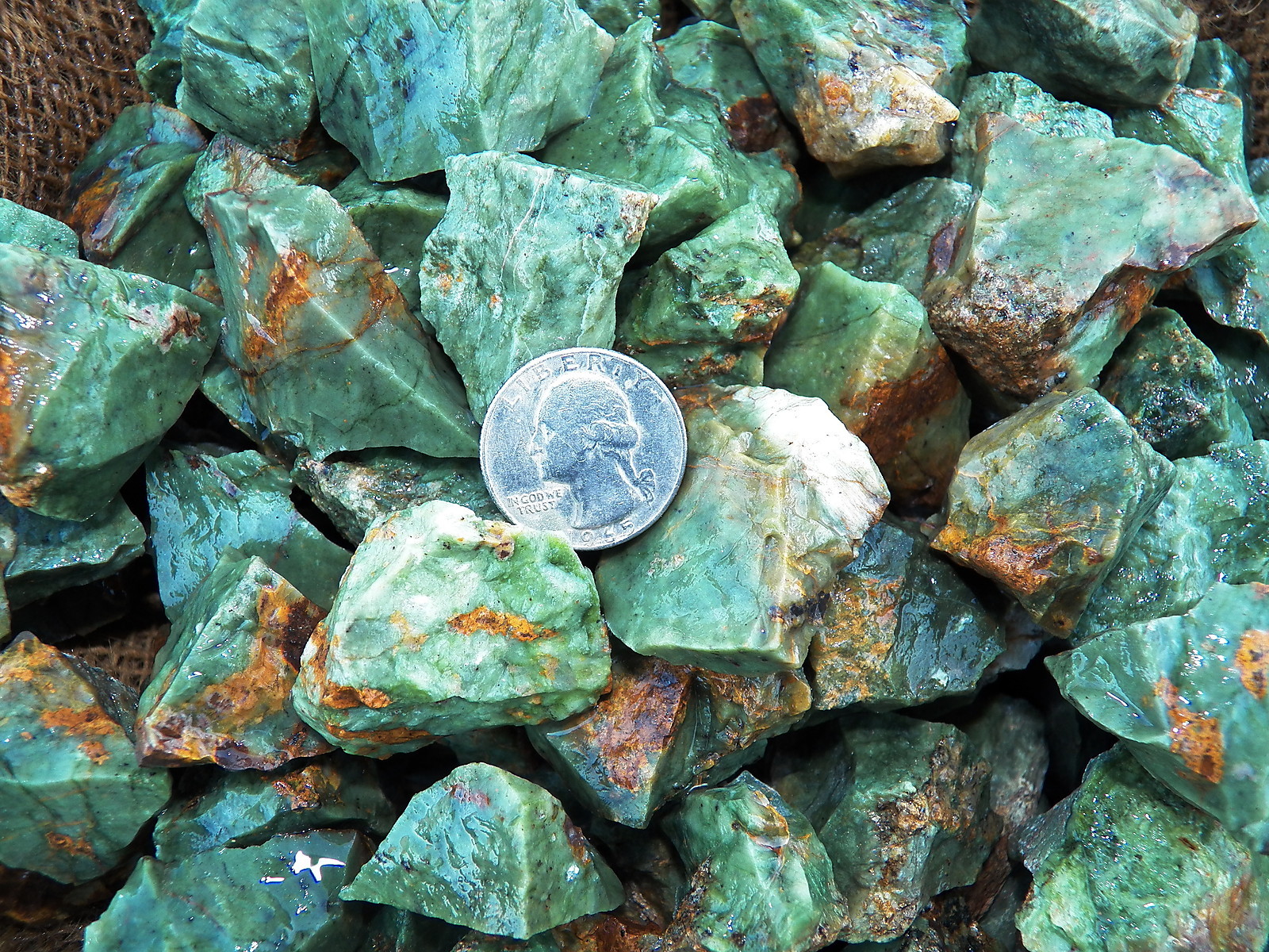 500 Carat Lots of Chrysoprase Rough – Plus a FREE Faceted Gemstone