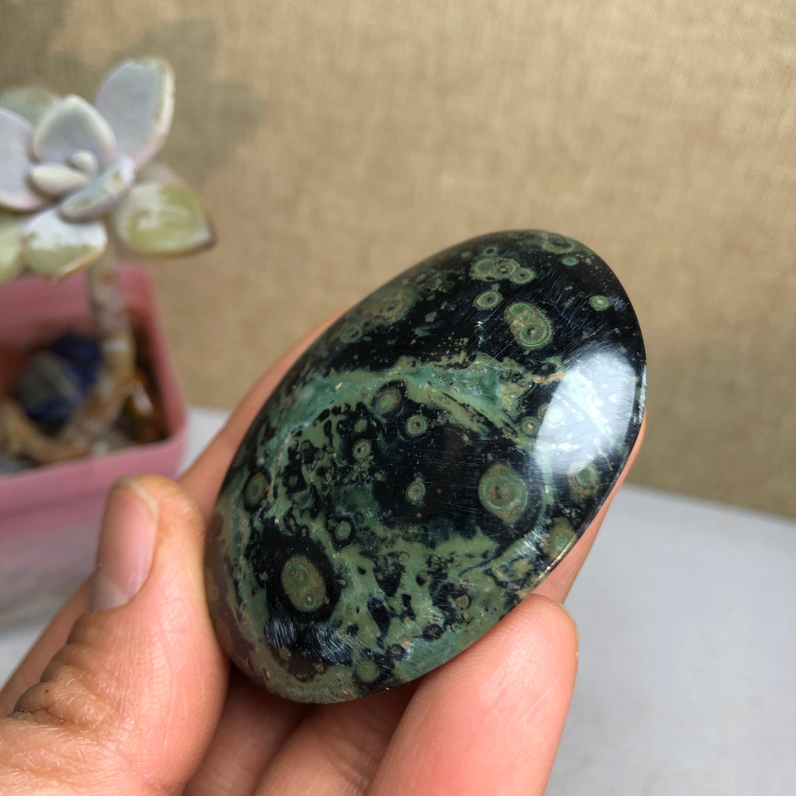 Top Natural Green Kambaba jasper quartz crystal Specimen healing 50g A2601