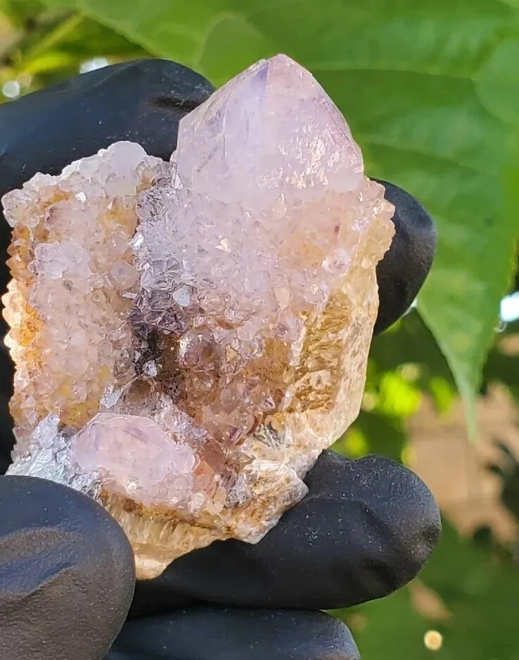 Amethyst Spirit Quartz Crystal Cactus Specimen 72g – South Africa