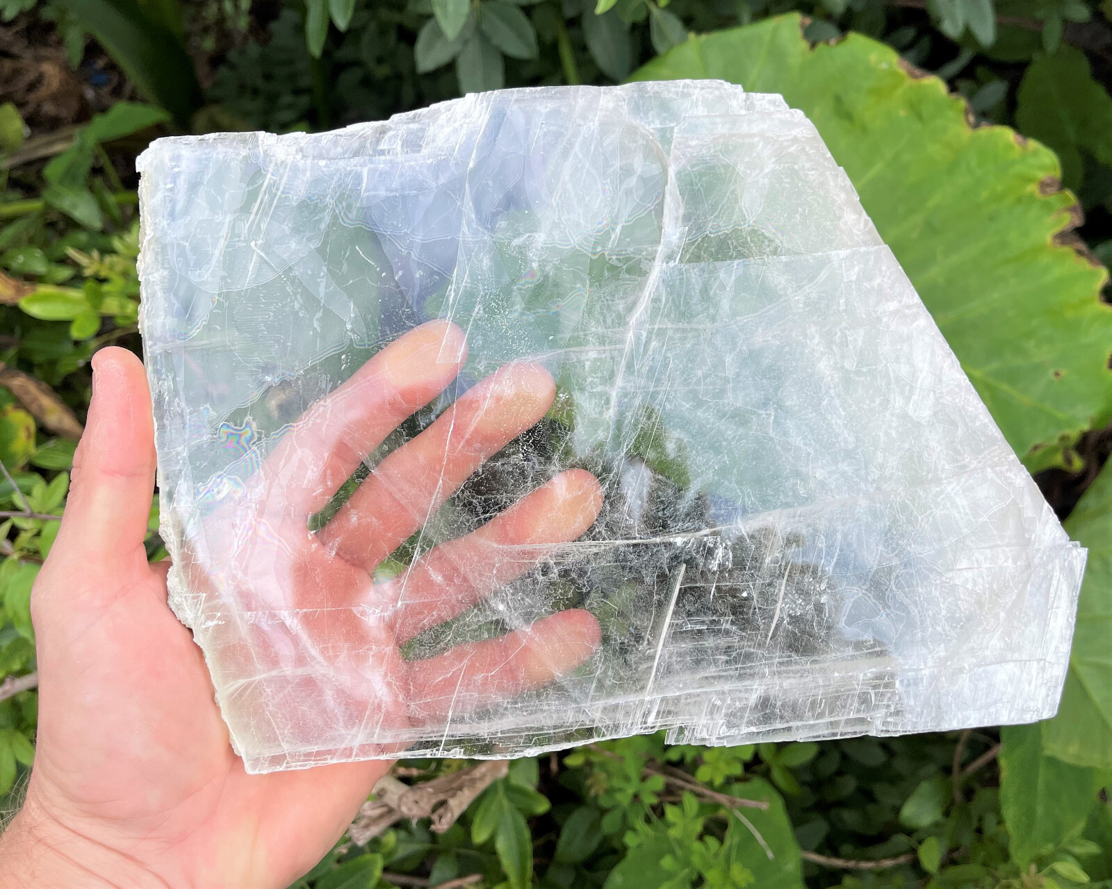 JUMBO Natural Selenite Slabs & Stand! Raw Selenite Slice, Selenite Crystal Plate