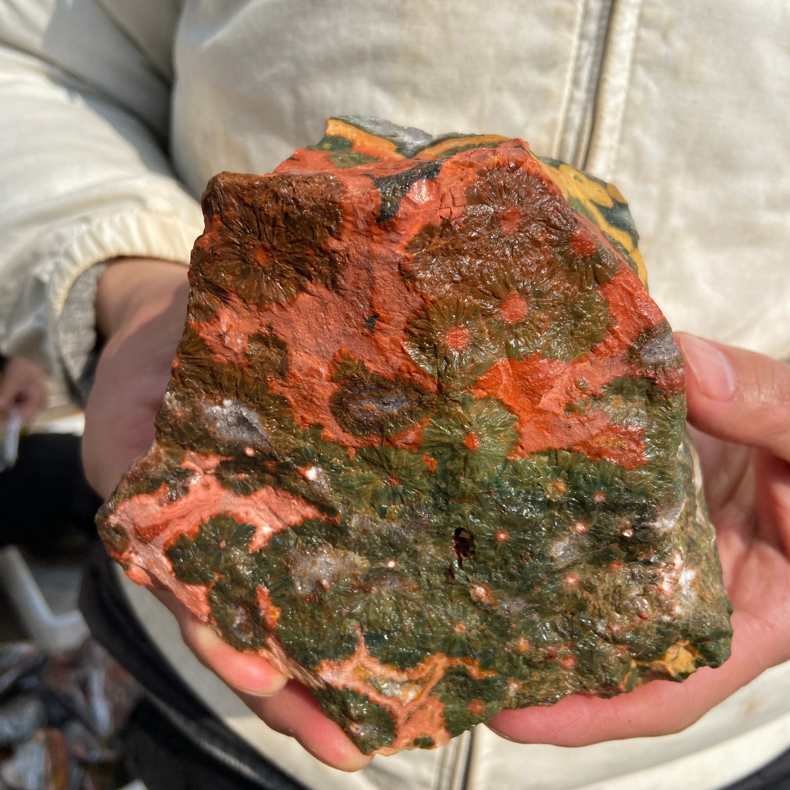 2.7lb Natural colourful ocean jasper raw stone crystal rough mineral specimen