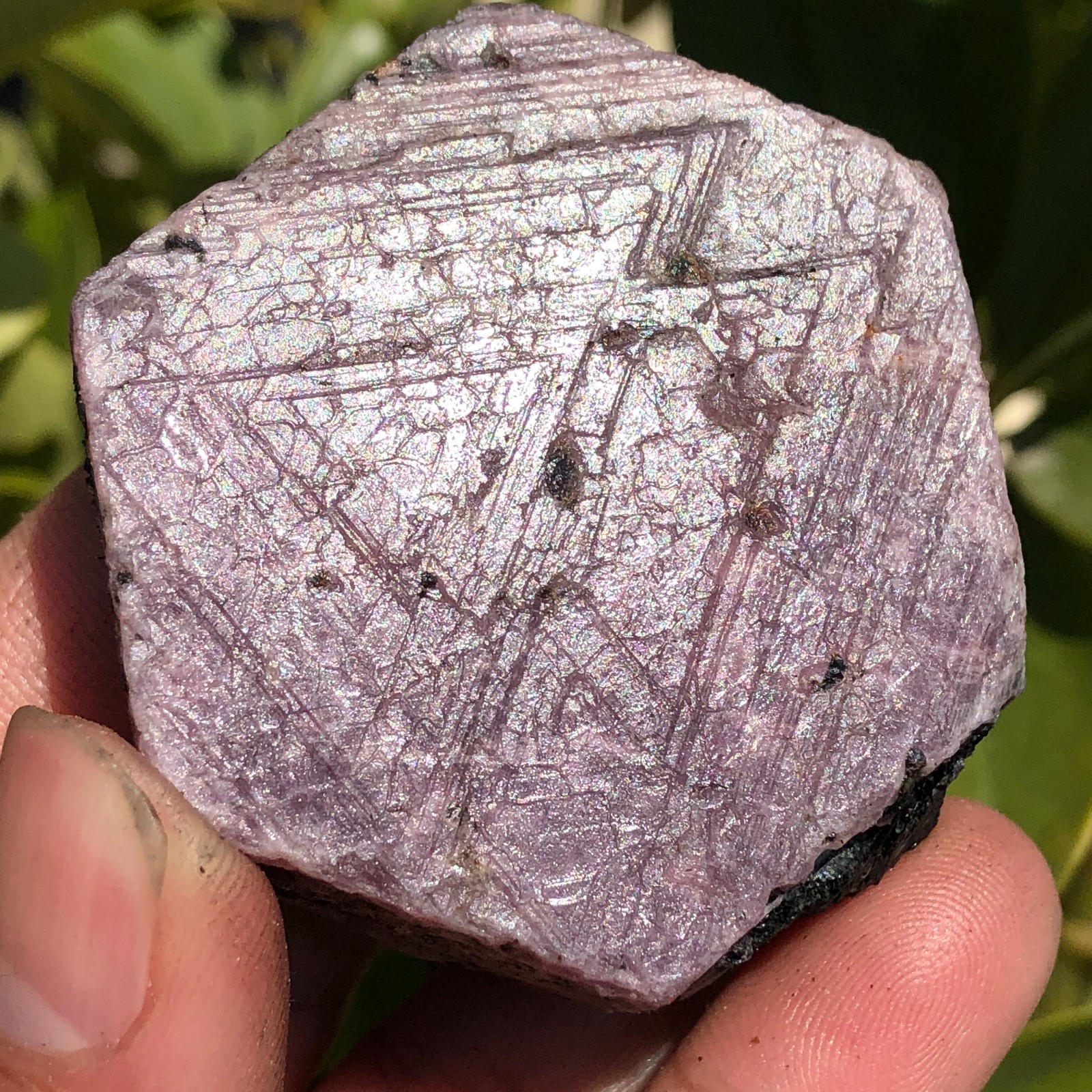 205g Ruby Raw Crystal Record Keeper Hexagon Corundum Birthstone Rough Specimen