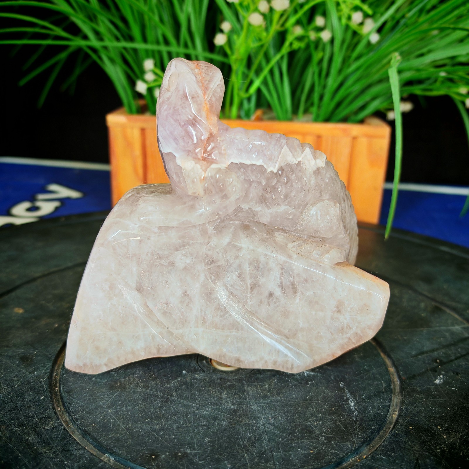 2.31LB Natural Crystal Purple Agate Carved Lizard Reptile & Crystal Lovers