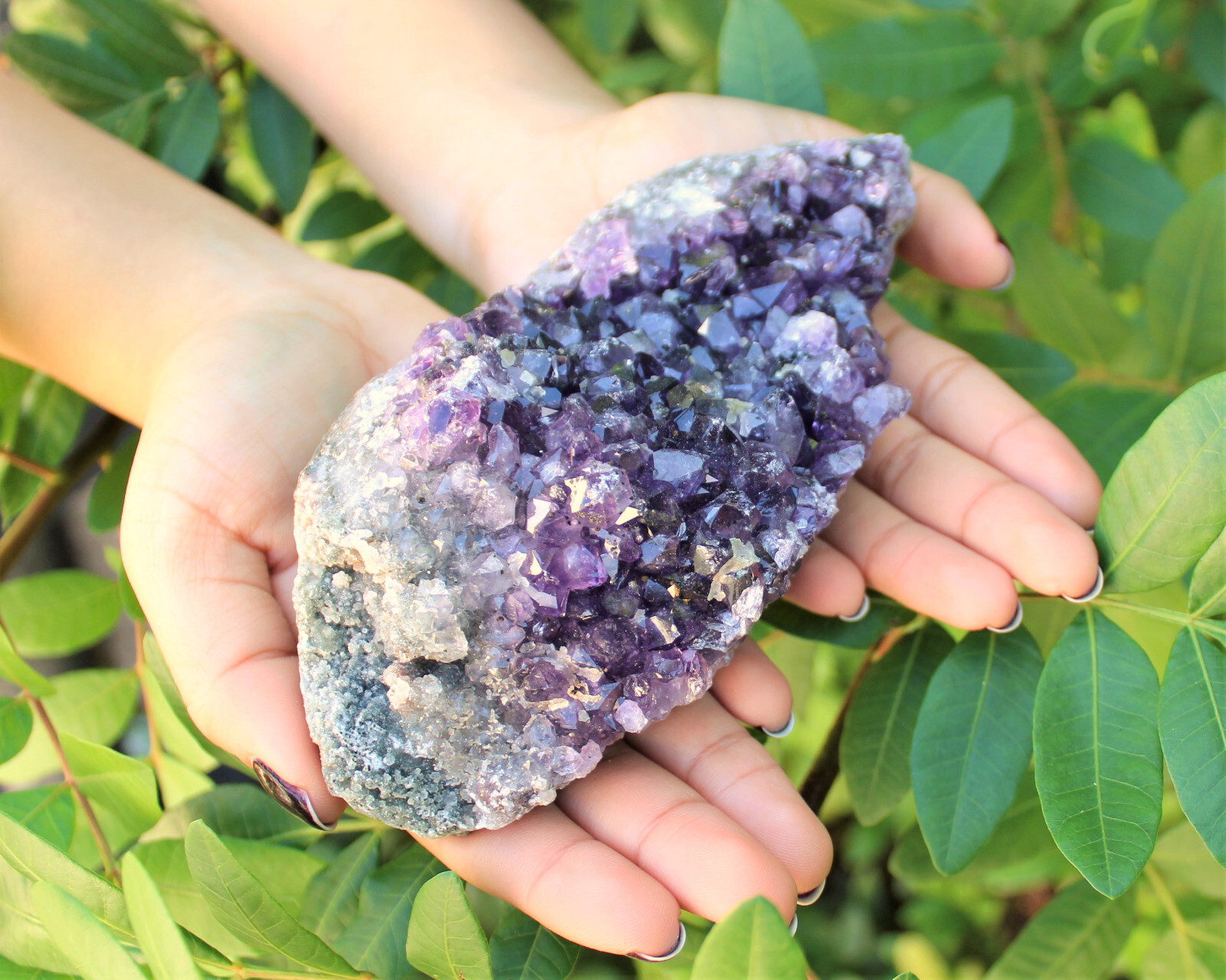 Clearance Amethyst Crystal Clusters – Natural ‘B’ Grade Cluster Druze Specimens