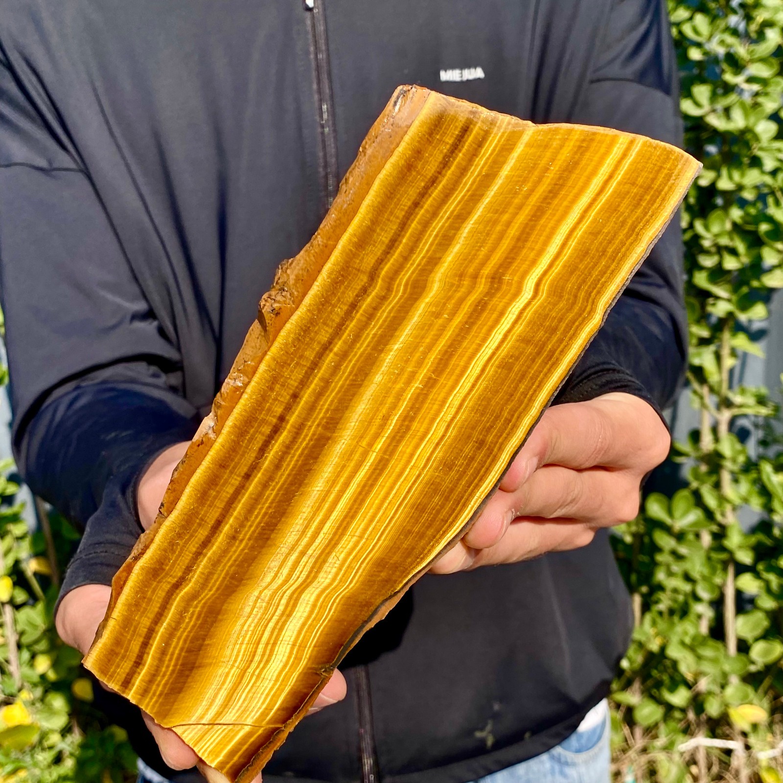 1.3LB Natural Tiger Eye Stone slice Quartz Crystal Polished Specimen healing