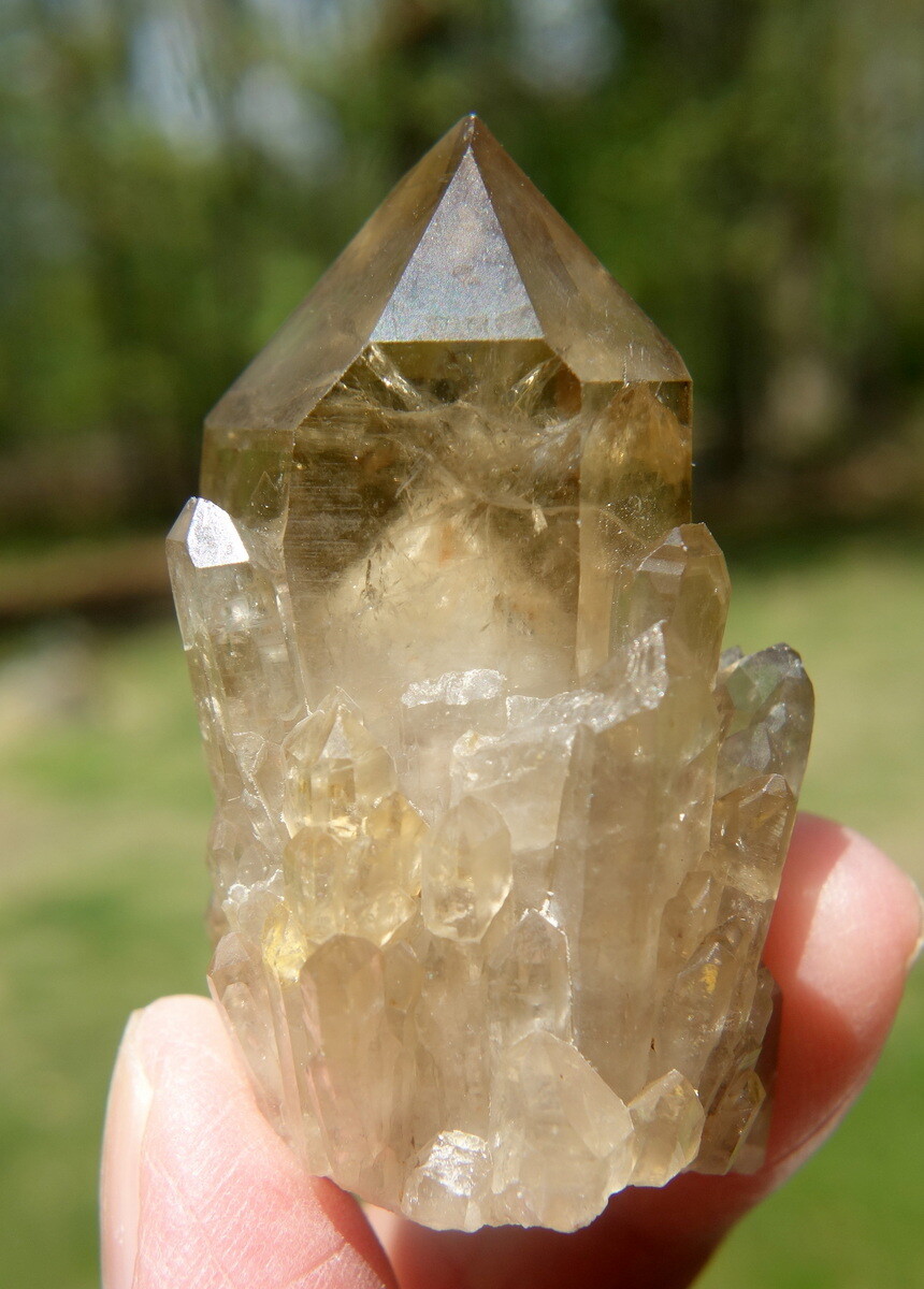 Kundalini Citrine Elestial Crystal Lightbrary Lwena Deposit DRC