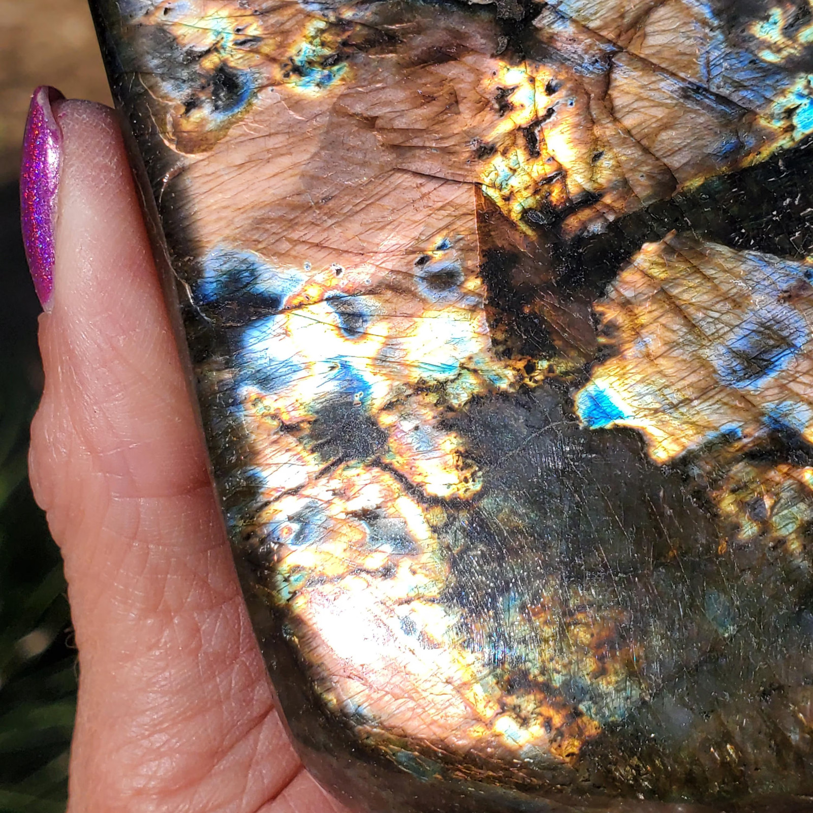 Labradorite Spectrolite “Stained Glass” Crystal Slab Freeform 700 grams