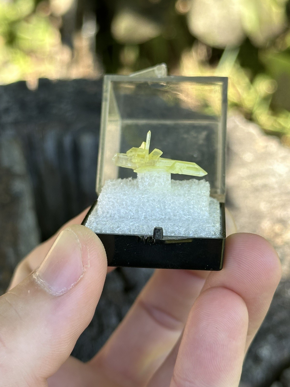 Chrome Cerussite, Dundas Extended, Tasmania, Australia. Ex Jordi Fabre