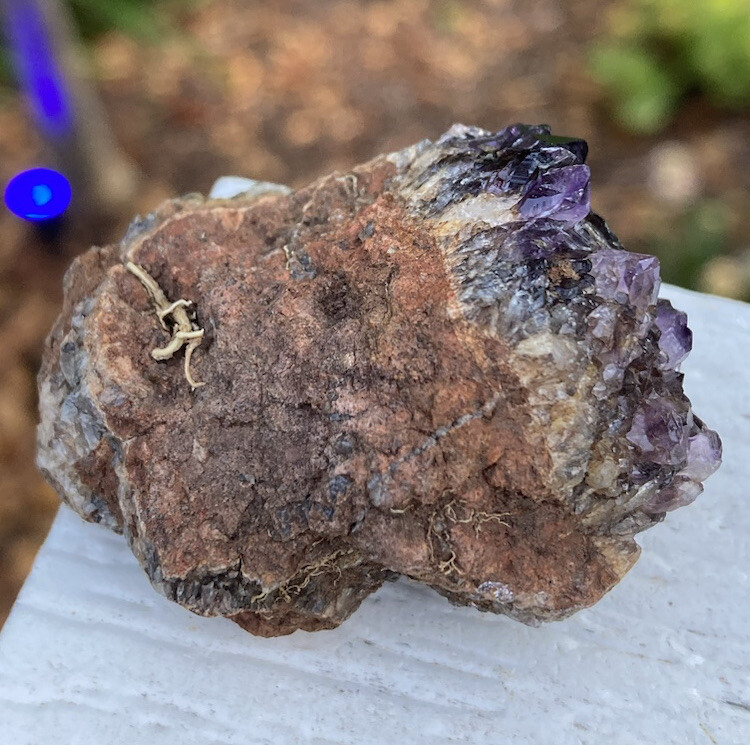 Rare XTRA DARK PURPLE AMETHYST SPIRIT QUARTZ Fairy Cactus Crystal Cluster 1.8″