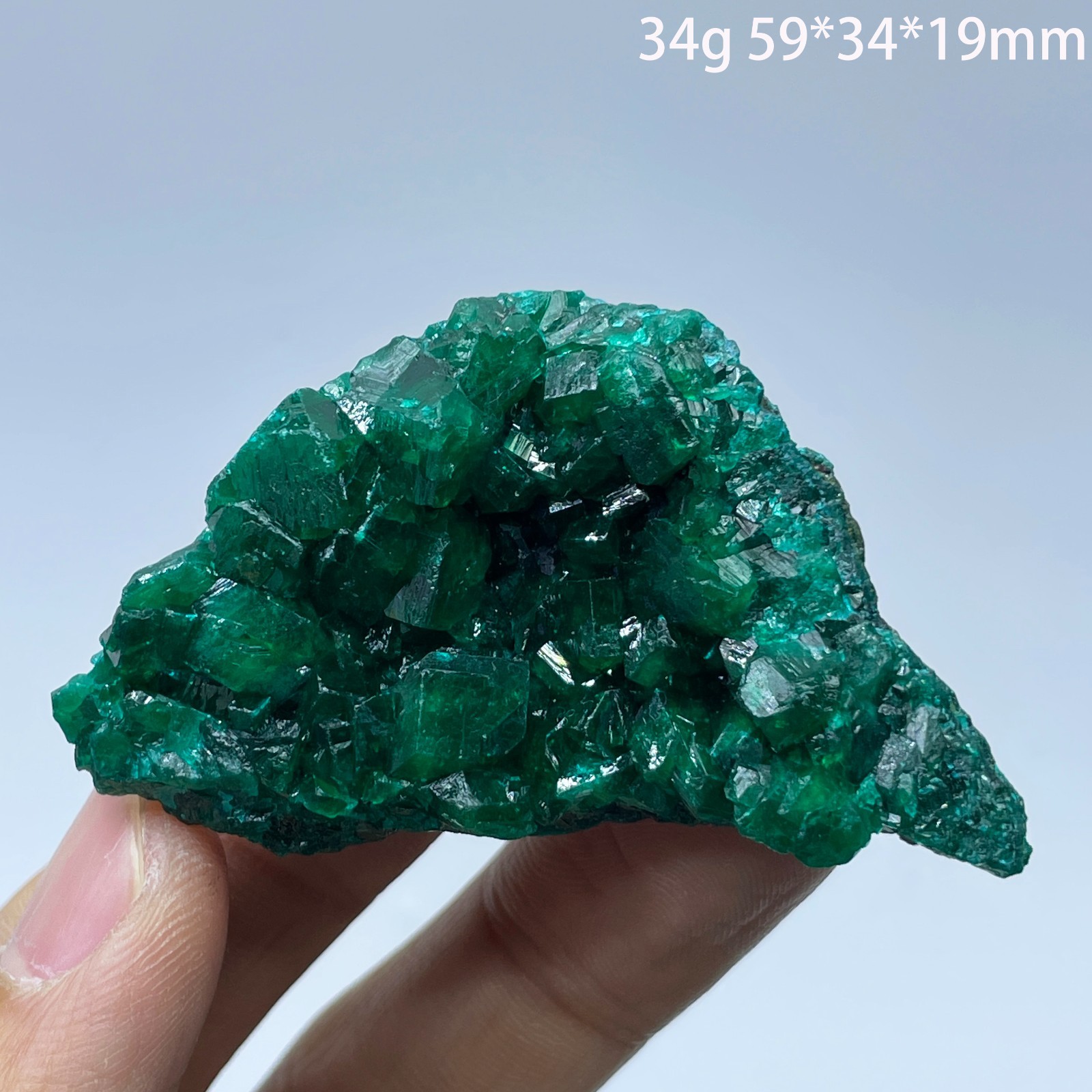 Natural Congo Green Dioptase Mineral Specimen Stones Original Teaching Healing