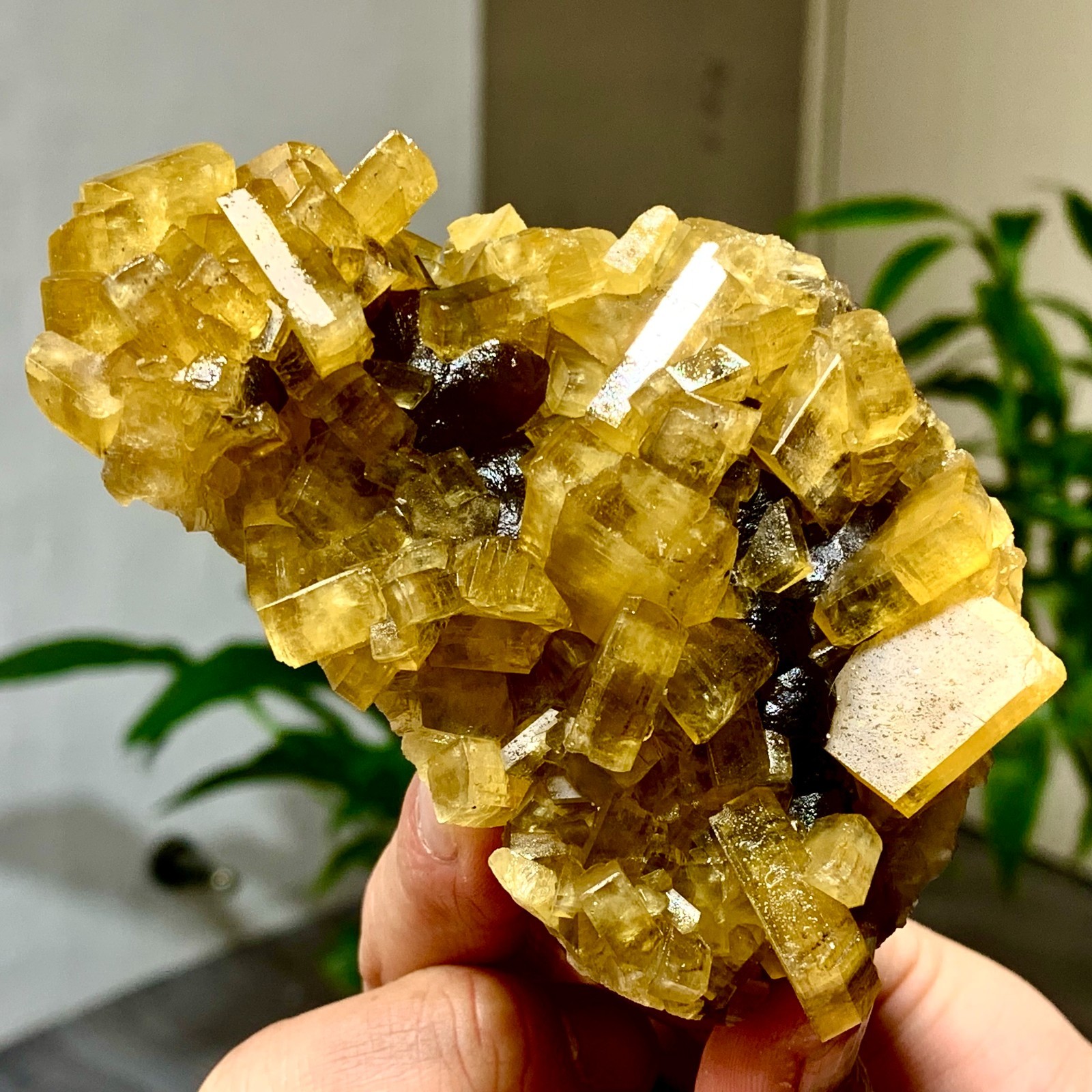 300G Shiny Golden Cuboid Barite Crystal Based on the Purple Spherical Fluorite